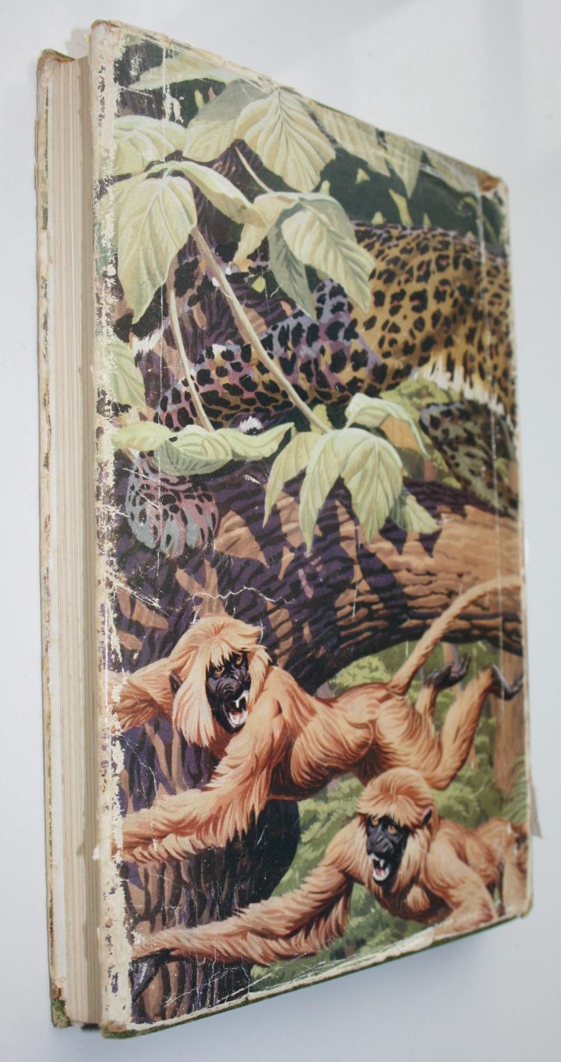 The Man-Eating Leopard of Rudraprayag by Jim Corbett. 1954. First Illustrated Edition, 1st impression.