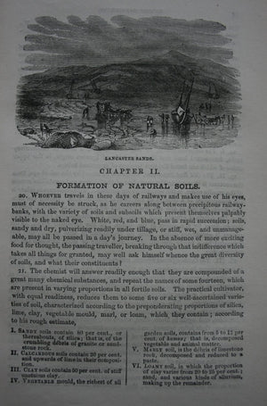 Beeton's Book of Garden Management. By Mrs Isabella Beeton. (1872)