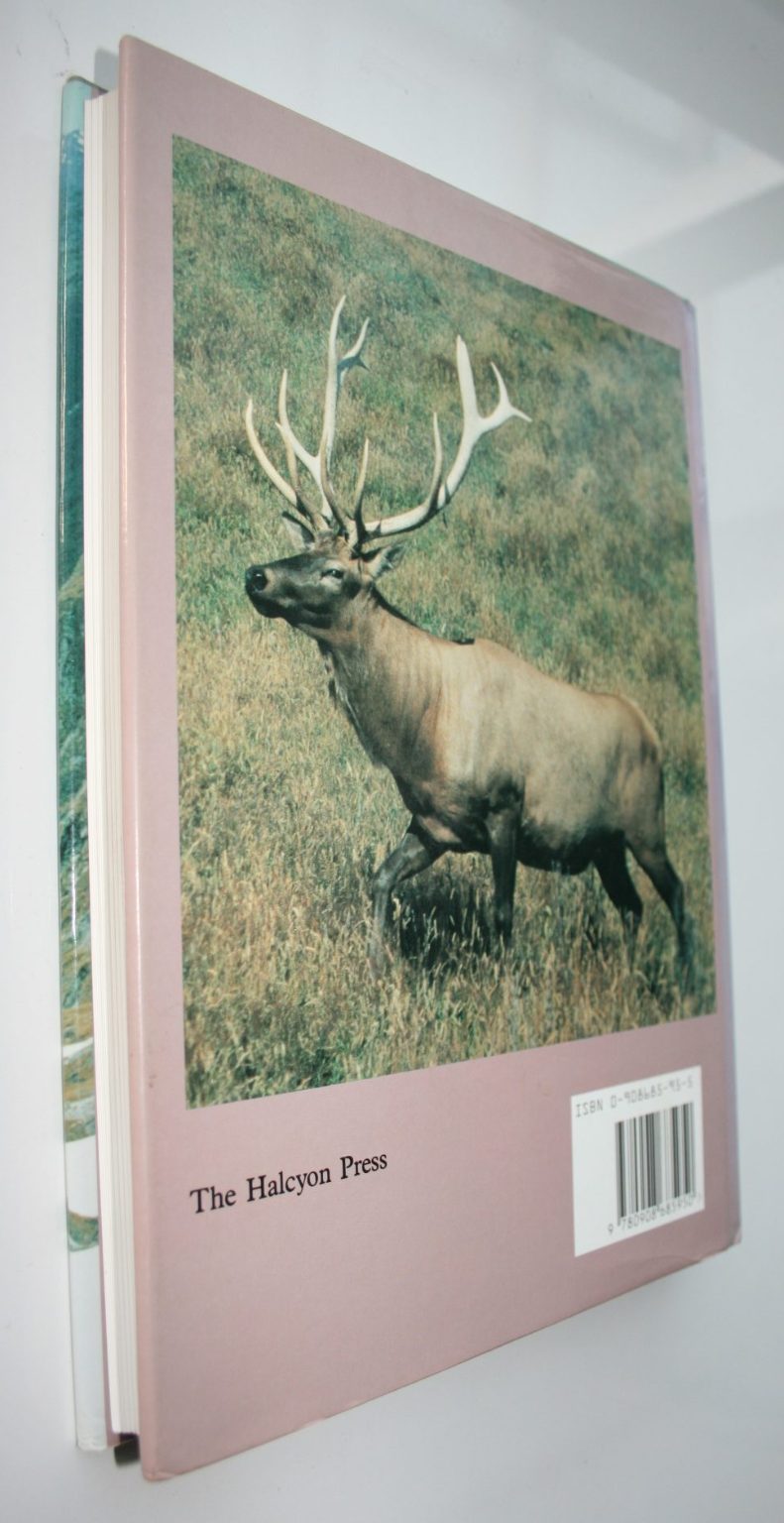 Mr Wapiti - by Jack McKenzie. [ First Edition]