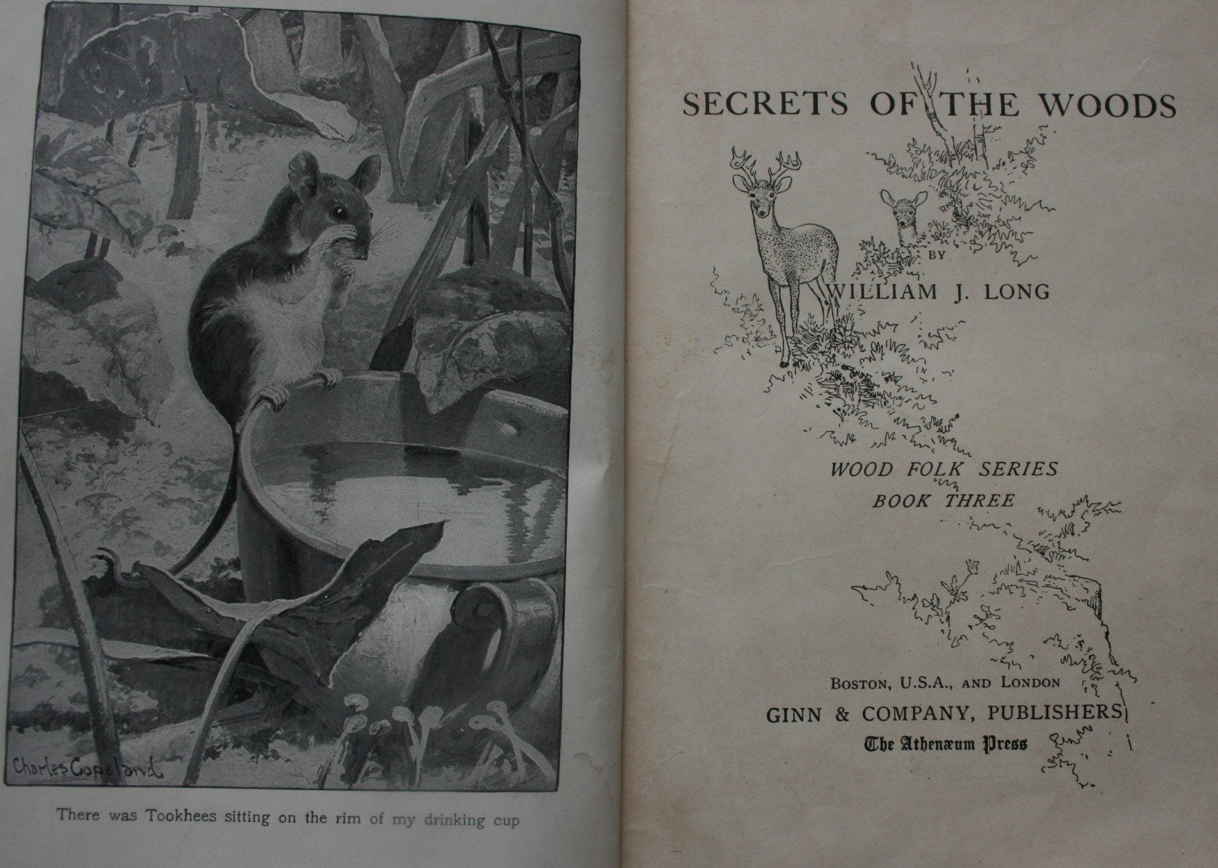 Secrets Of The Woods by William J. Long.