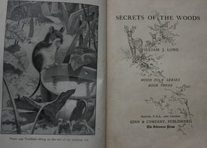 Secrets Of The Woods by William J. Long.