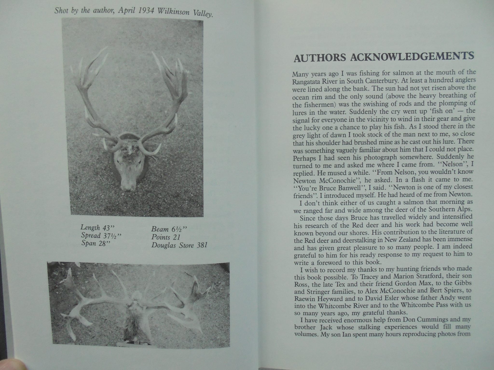 In Search of The Wild Red Deer A New Zealand Hunter Remembers By Charlie Shuttleworth.