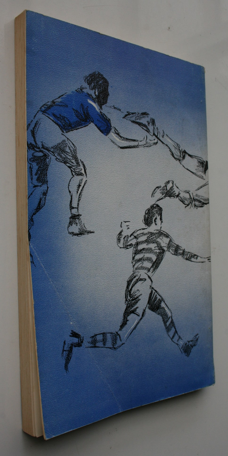100 Years of Rugby-Story of Nelson Rugby 1870-1969, The Birth and Evolution of Our National Game by W A Reed.