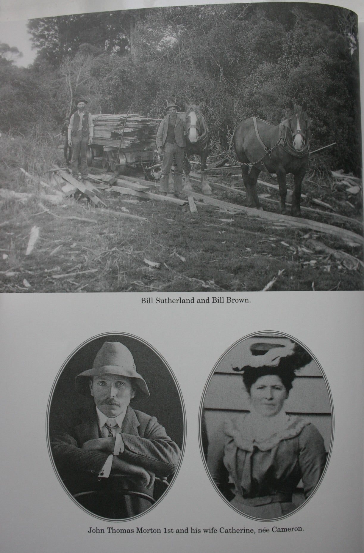 The History Of Seaward Downs - by Agnes Thwaites. [First Edition]