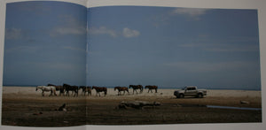 Out There North a 4WD adventure in New Zealand's North Island By Chris Morton, Tony Bridge.