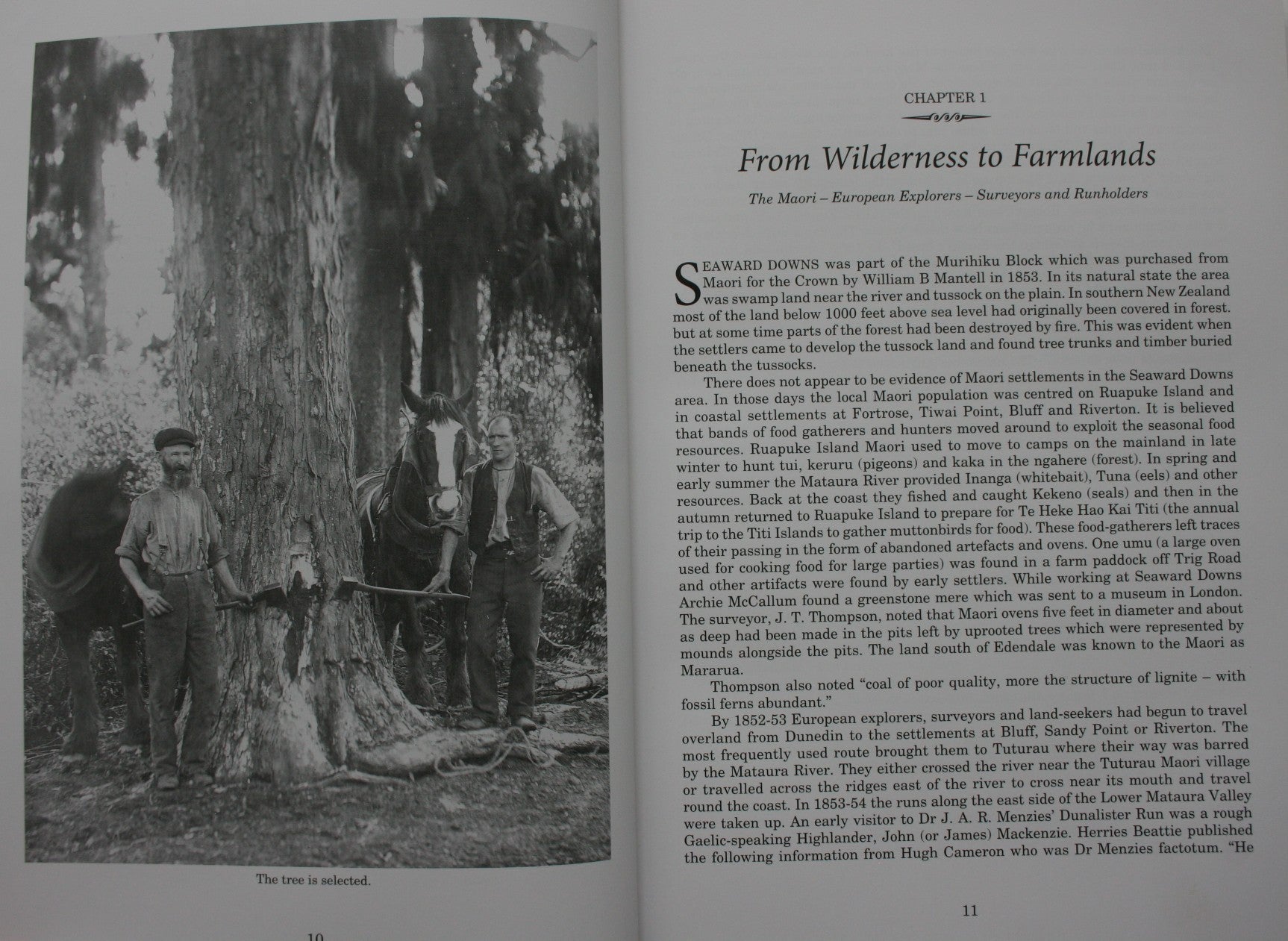 The History Of Seaward Downs - by Agnes Thwaites. [First Edition]