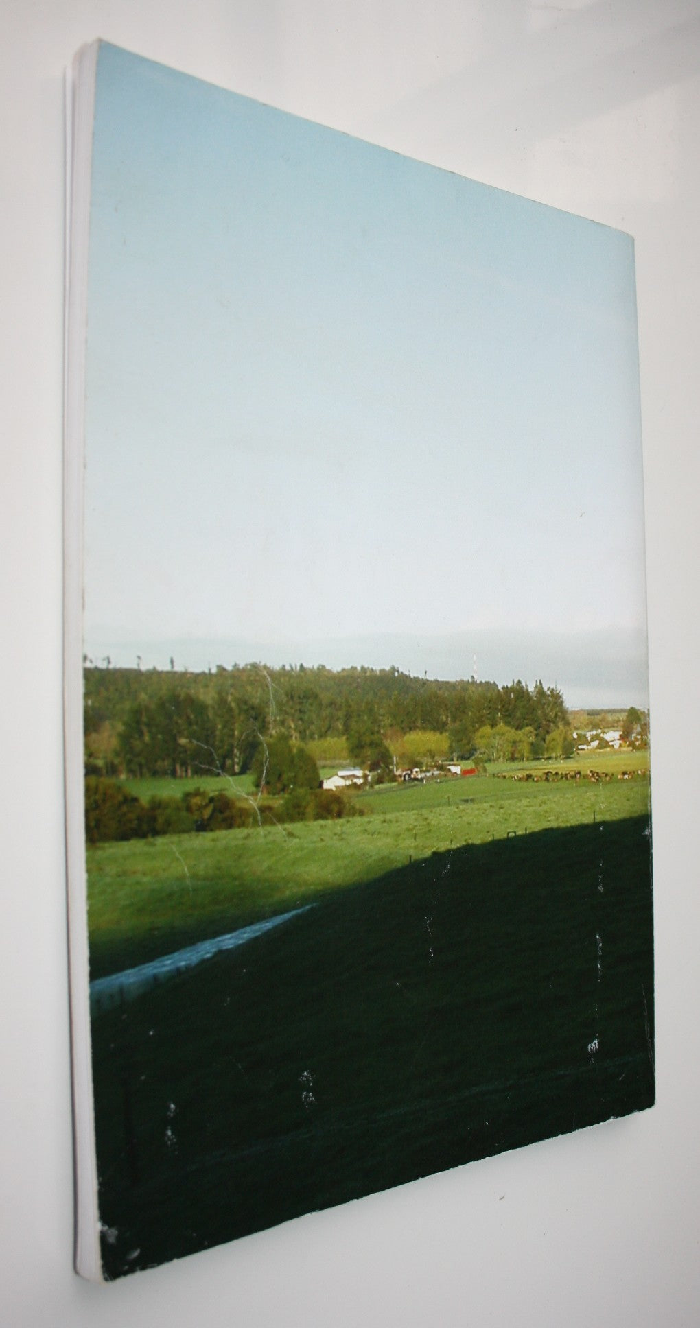 Settled Too Early: The Story of the Pioneers Susanna & Henry Hawes. By Shona Barber. SIGNED BY AUTHOR. VERY SCARCE.