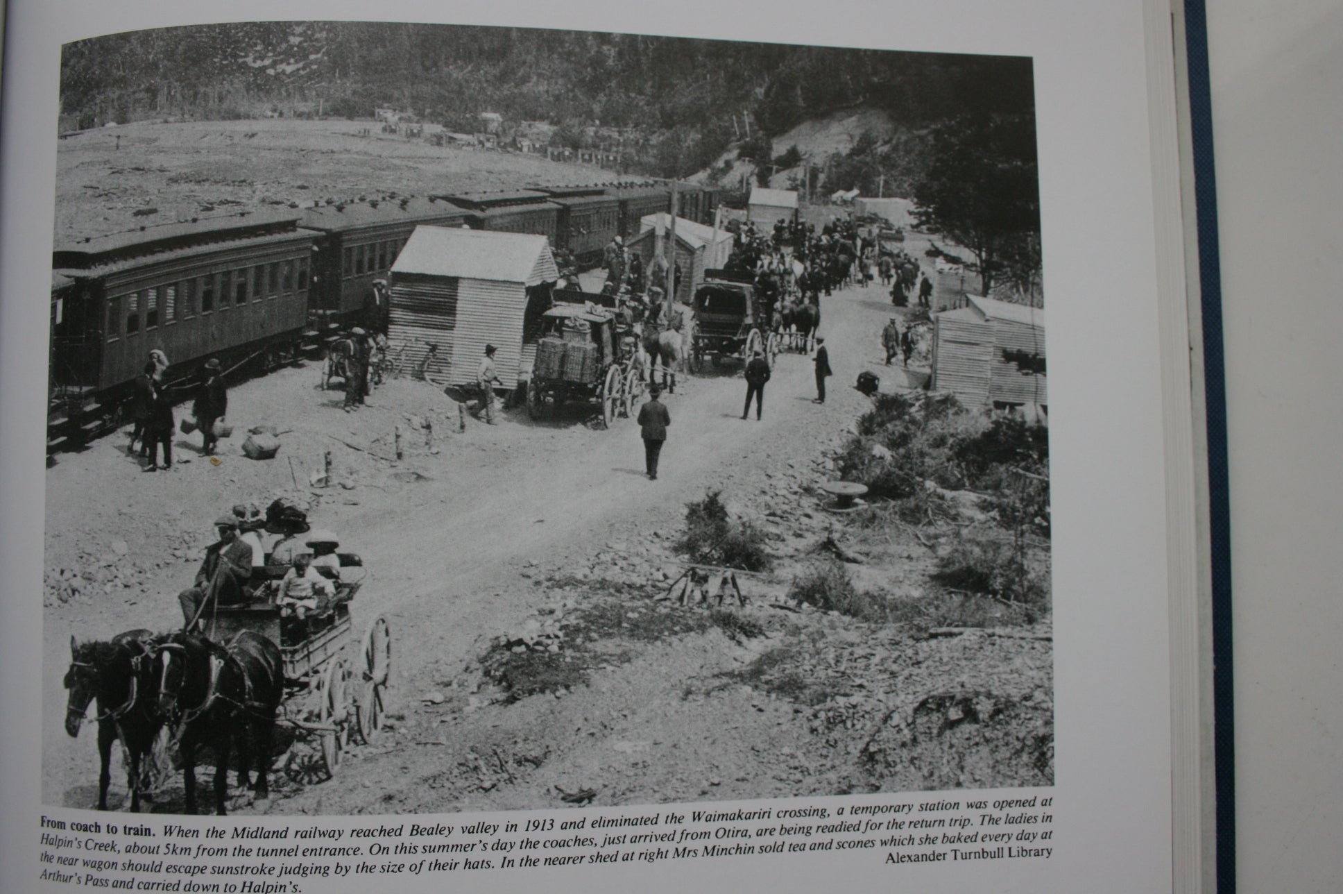 Waimakariri: An Illustrated History By Robert Logan.