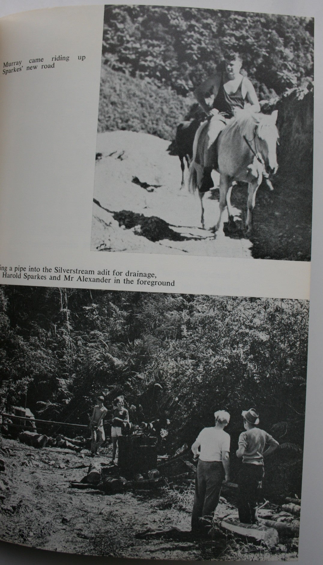 Maratoto Gold by Ann Bale. 1971 First Edition. VERY SCARCE.