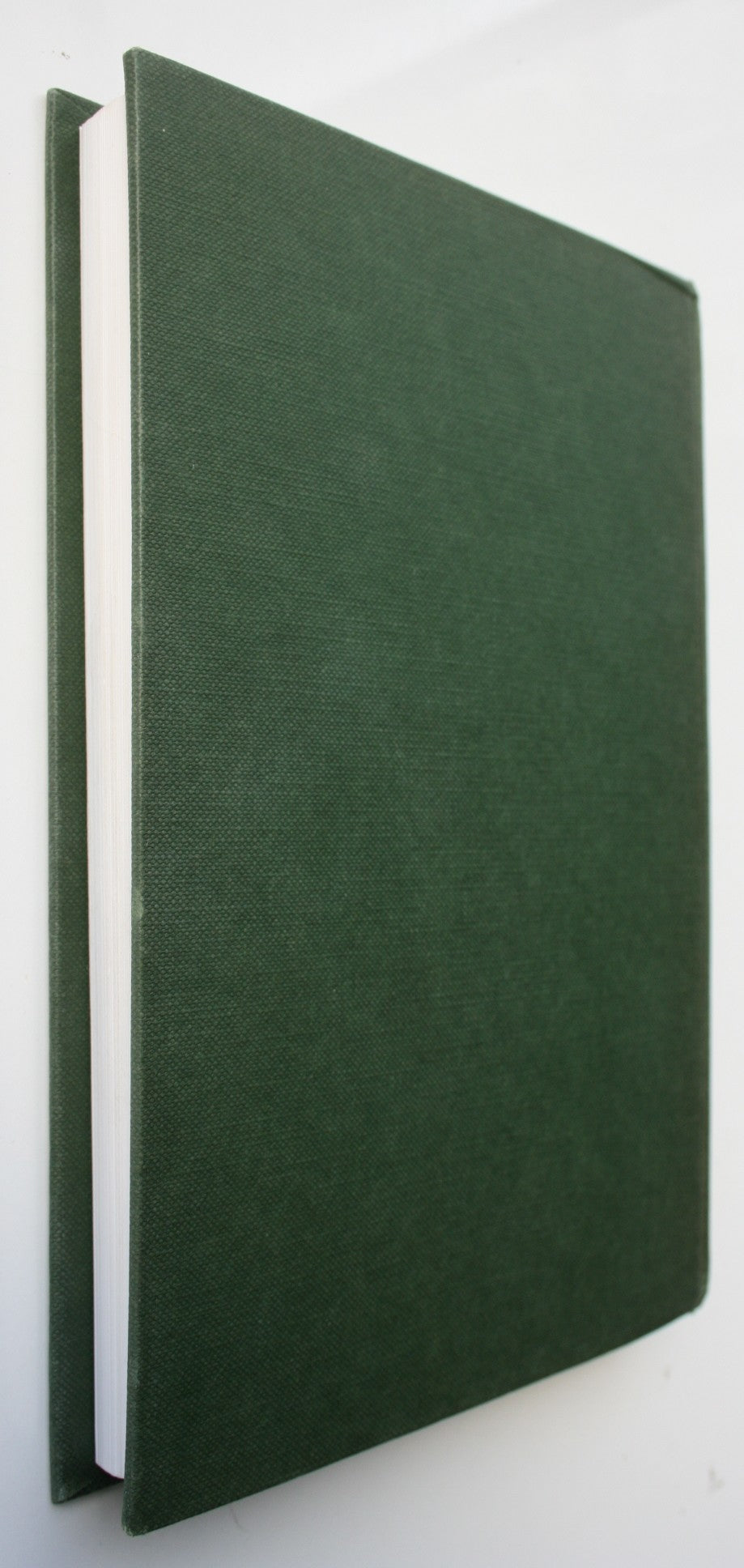 South Of The Burn - The Southburn Story 1892-1992 by John Button