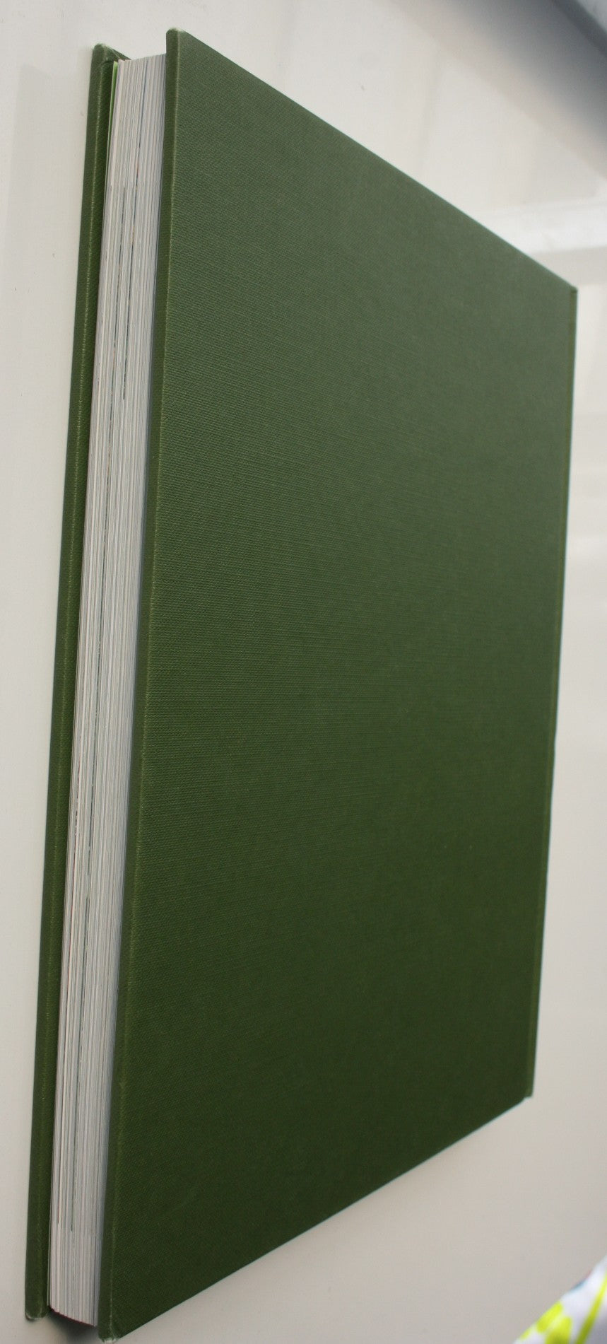 Great Gardens of New Zealand By Derek Fell.