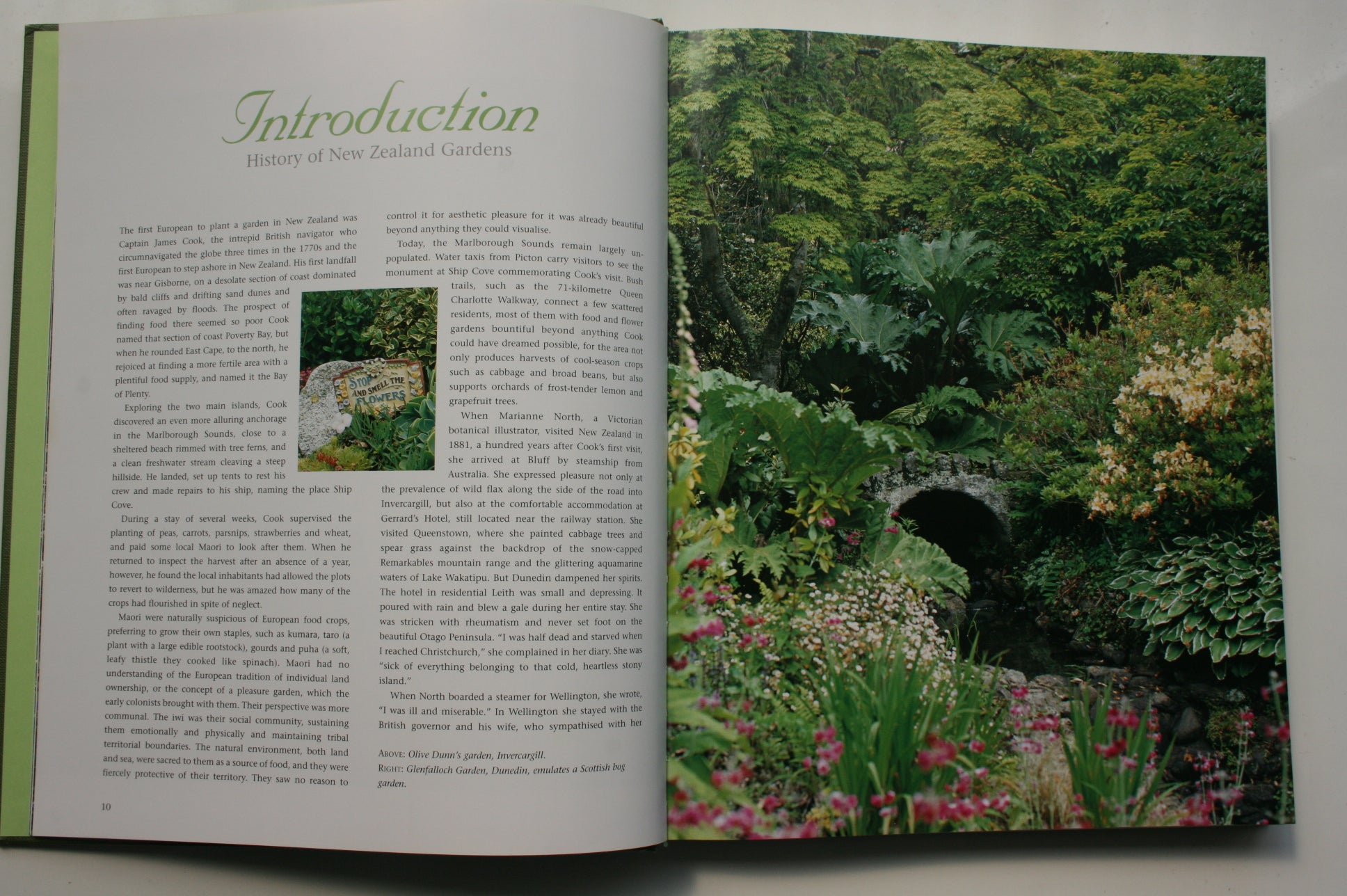 Great Gardens of New Zealand By Derek Fell.