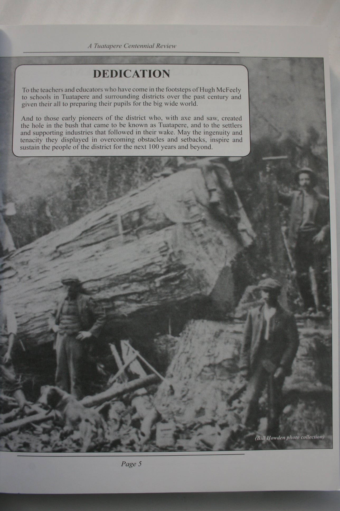 The Hole in the Bush: A Tuatapere Centennial Review. By Des Williams.