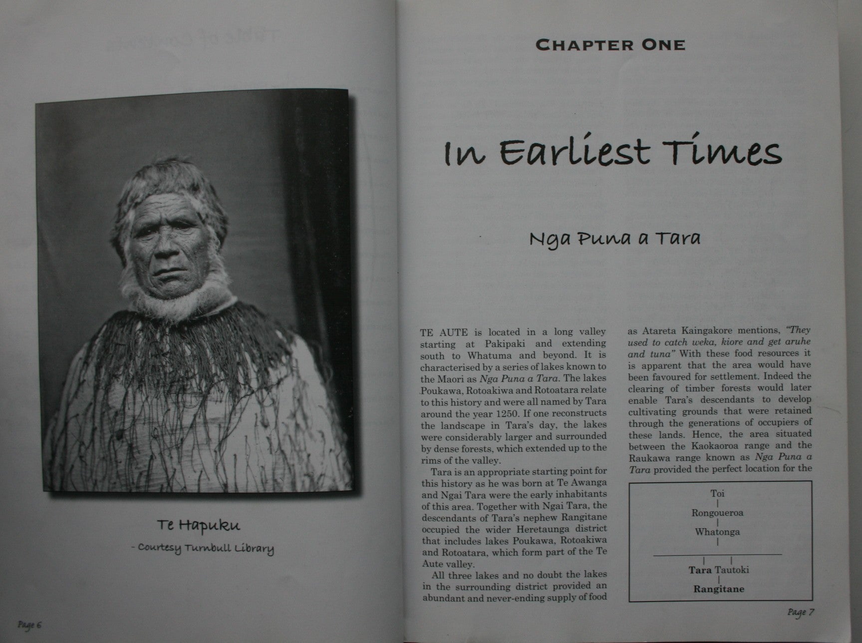 Opening The Gate: The Story Of The Te Aute District