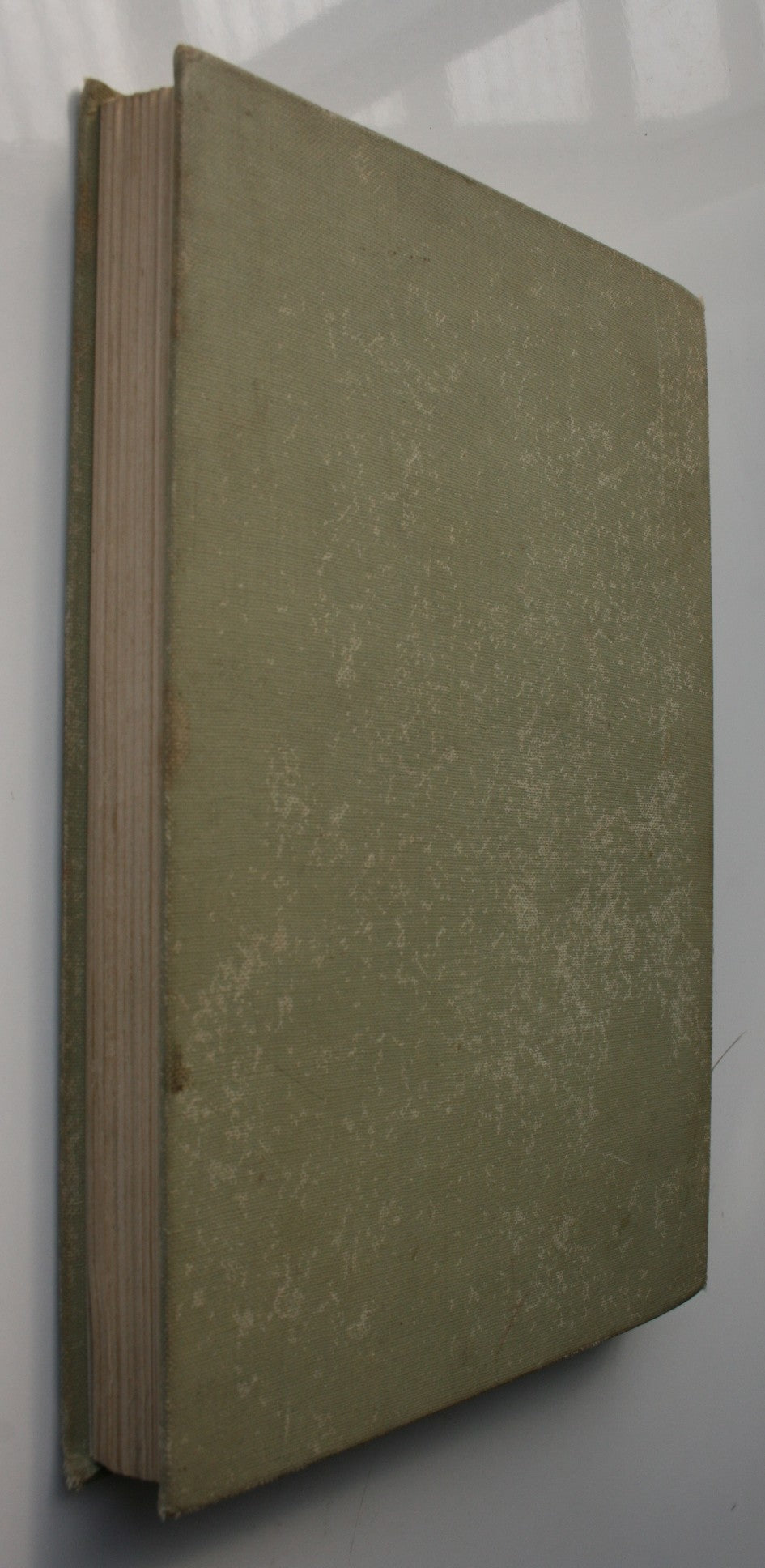 The Gun in the Case by G.G. Kelly