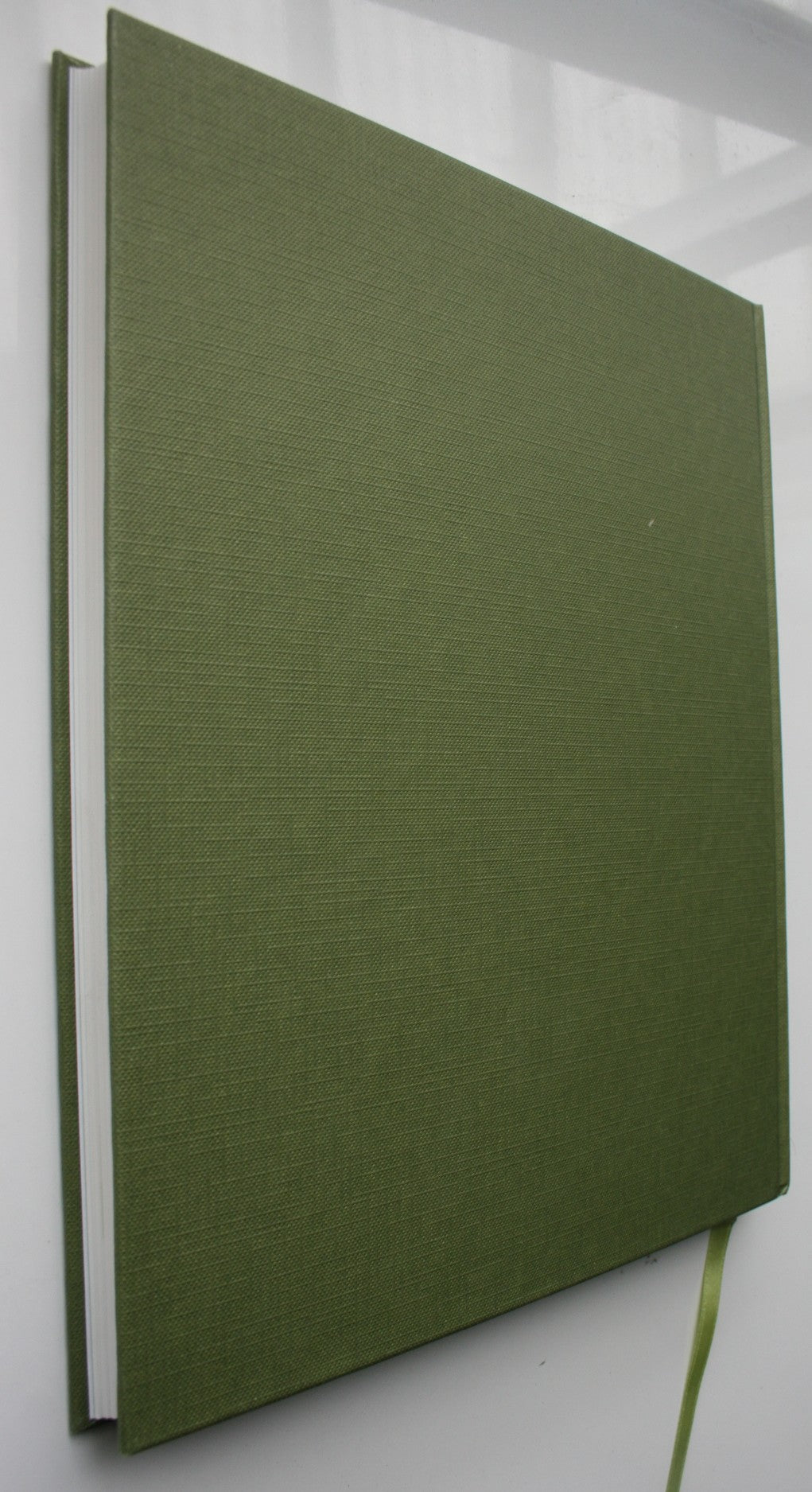 Extinct Birds of New Zealand by Alan Tennyson and Paul Martinson. SCARCE