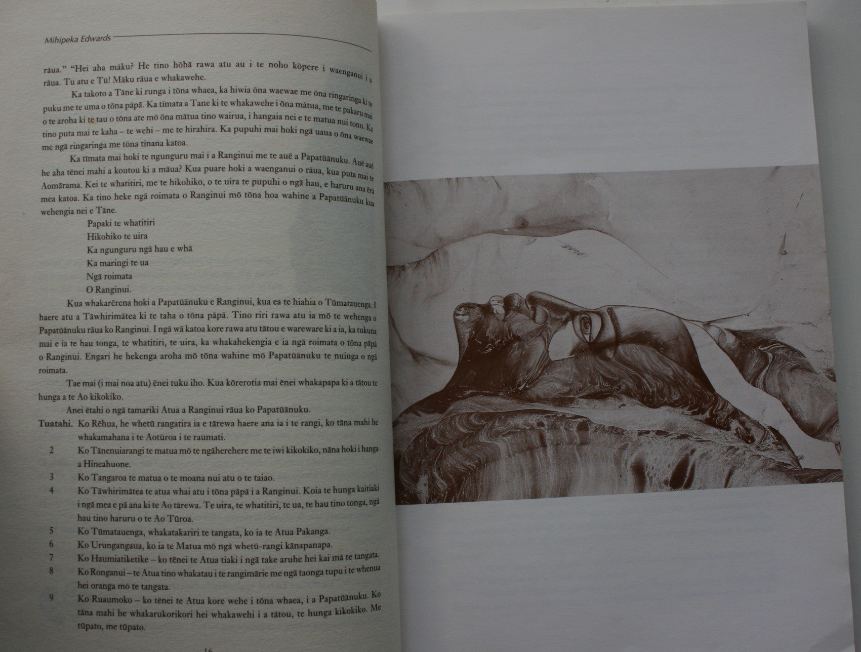 Toi Wahine: The Worlds of Maori Women, edited By Irwin, Ramsden, illustrated by Robyn Kahukiwa.