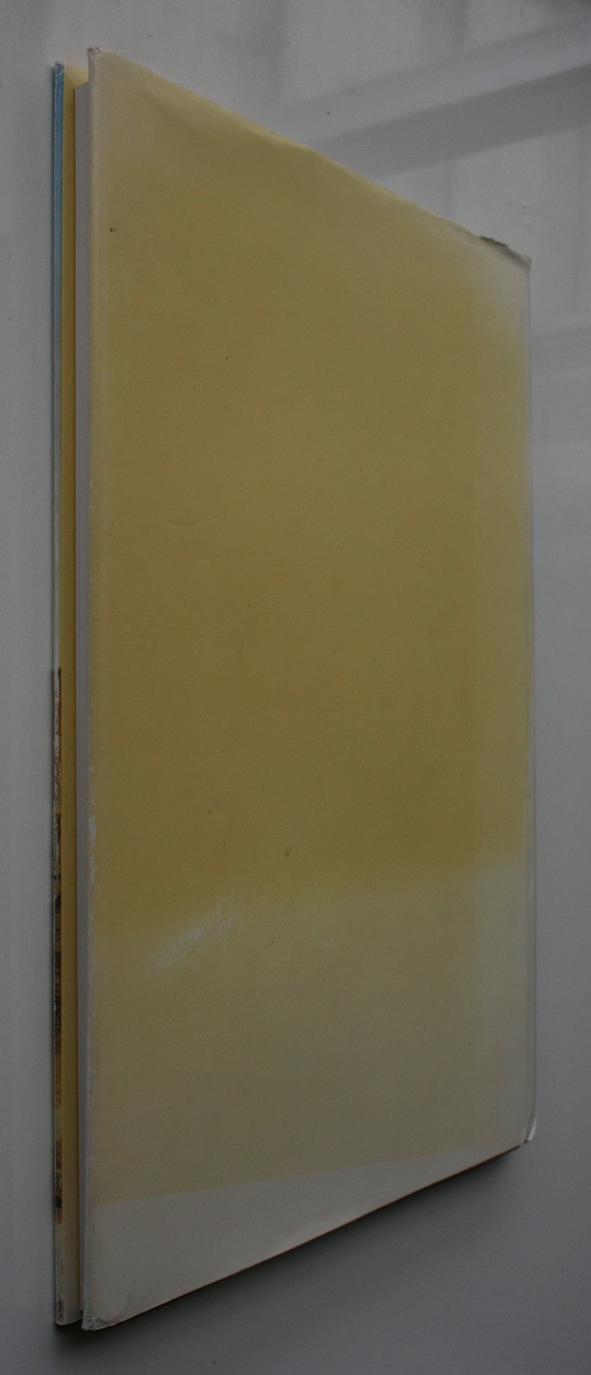 The Speculator's Dream: Gold Dredging in Southern New Zealand