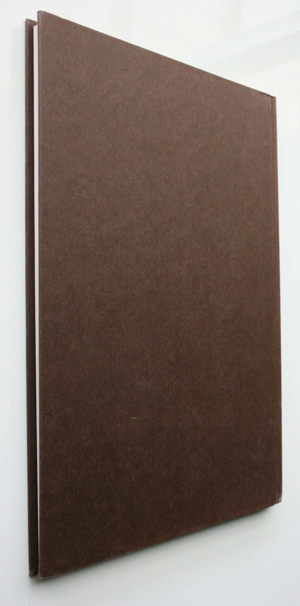 The Speculator's Dream: Gold Dredging in Southern New Zealand