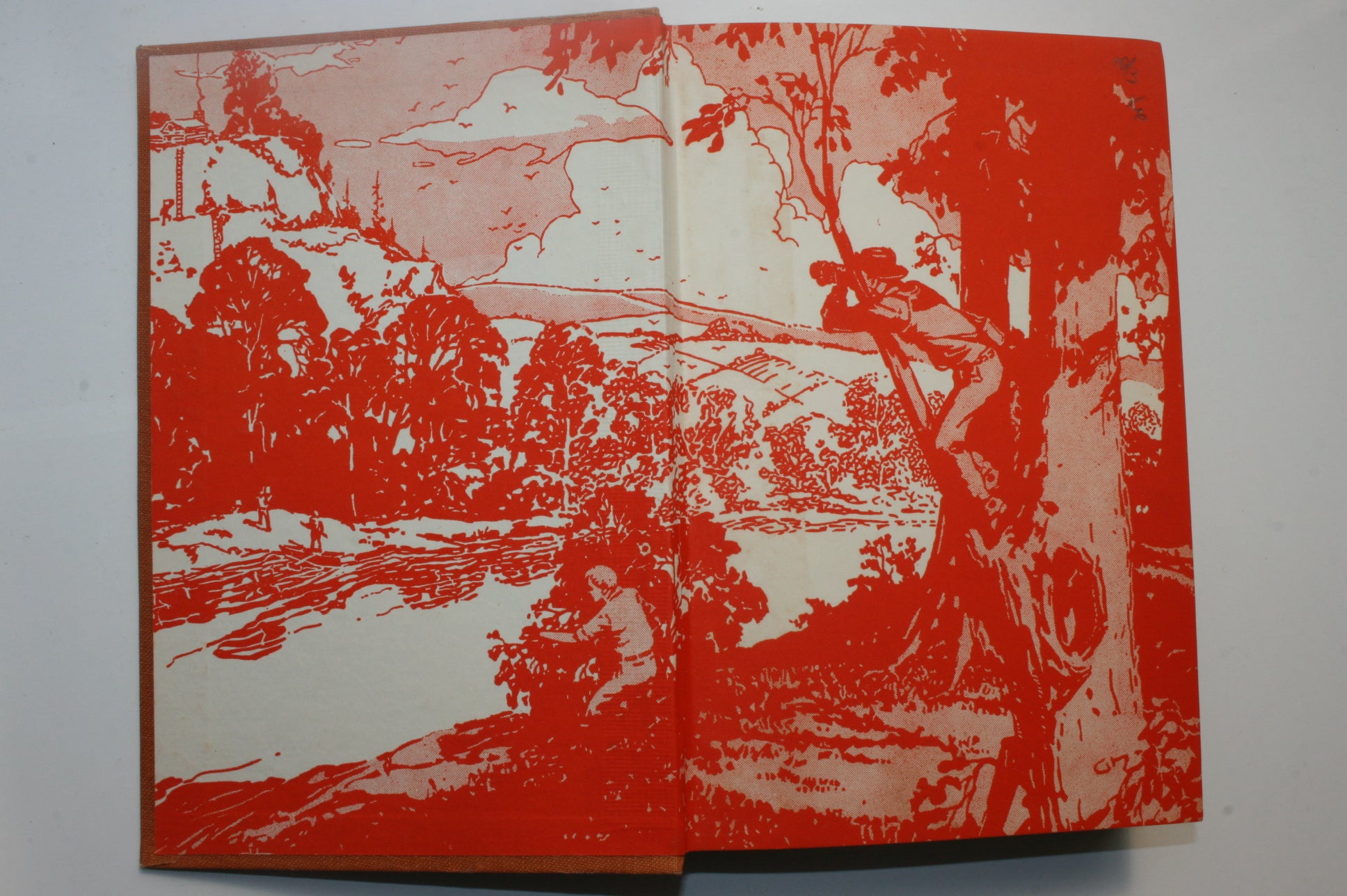 Two Hardy Boys First Editions. Vintage Hardbacks with jackets.