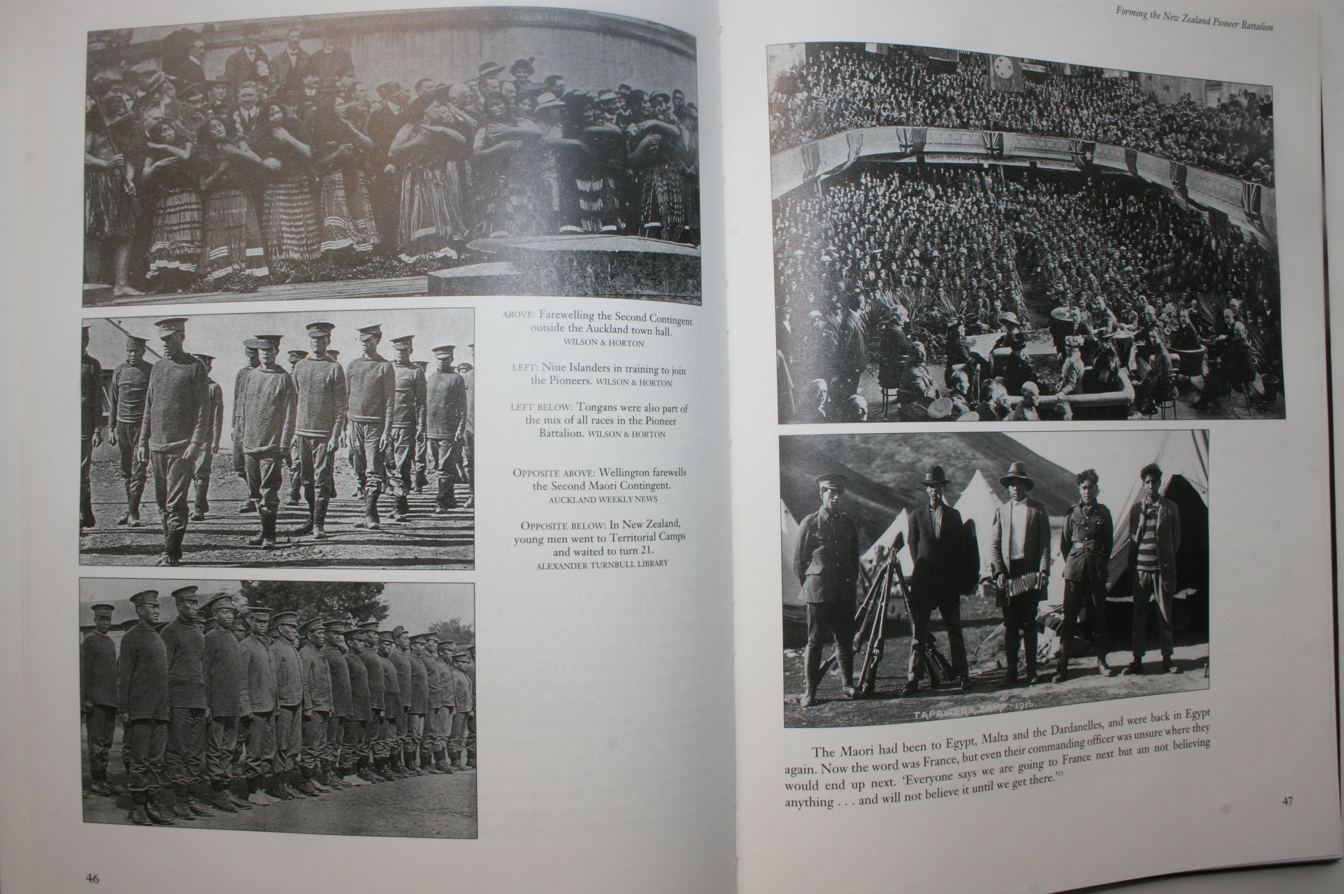 Te Hokowhitu A Tu The Maori Pioneer Battalion in the First World War. HARDBACK