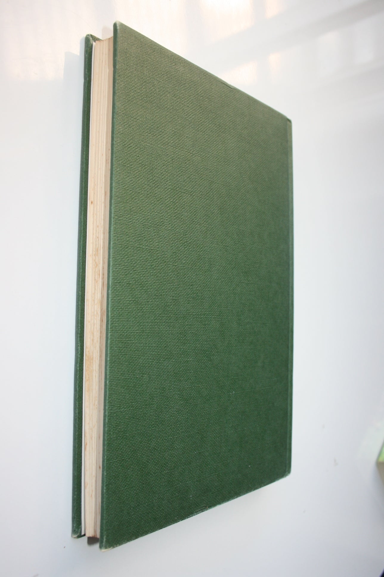 Medicines of the Maori From their Trees, Shrubs and other Plants, Together with Food from the Same Source. By Christina Macdonald.