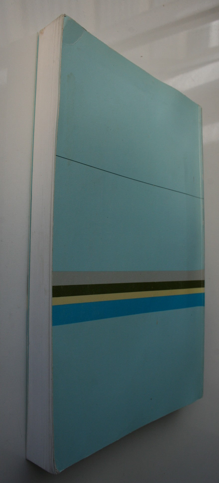 Southern Approaches : Geography in New Zealand edited by P. G. Holland and W. B. Johnston.