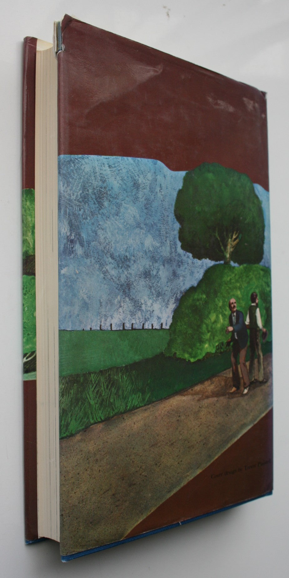 The Riddle of Richard Pearse by Gordon Ogilvie.