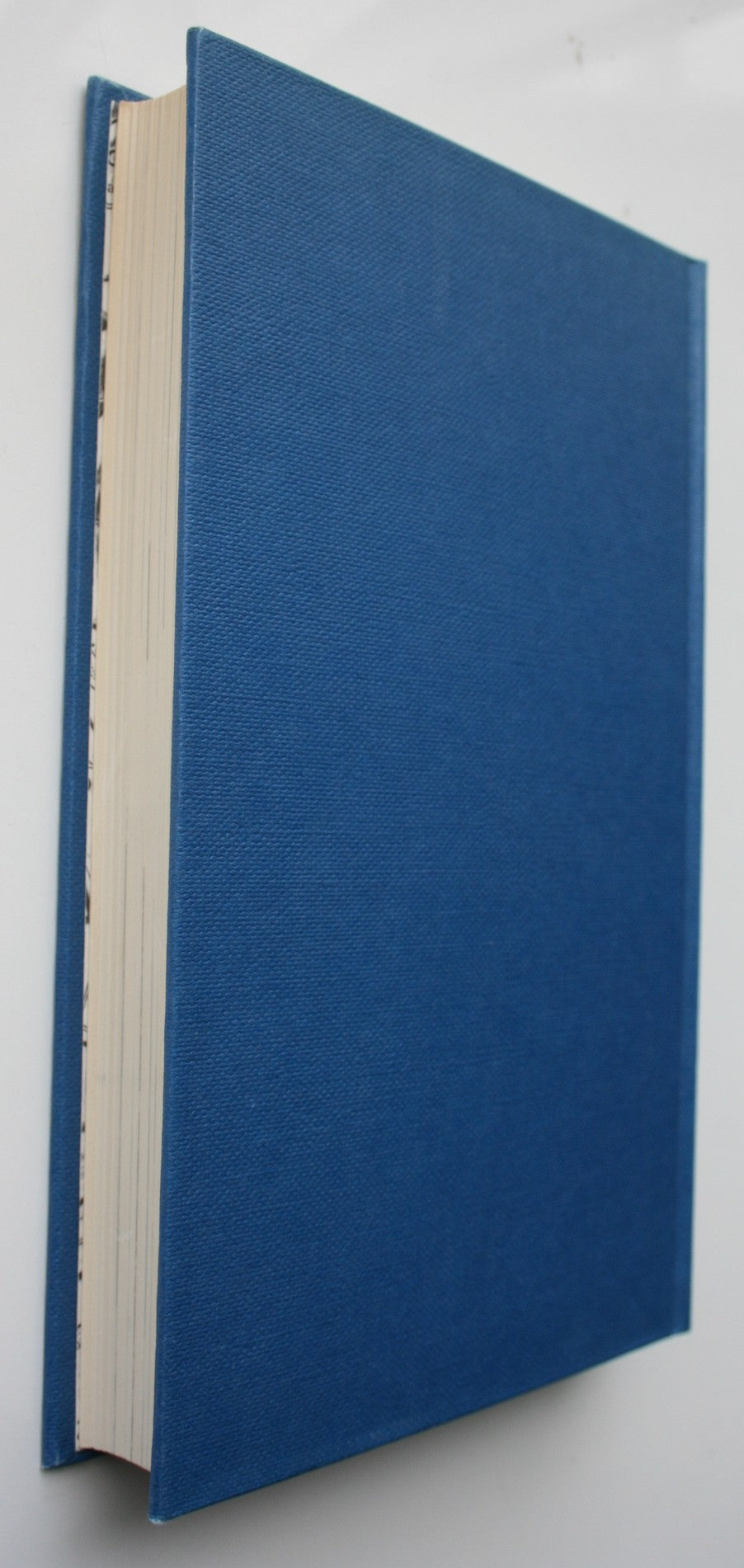 The Riddle of Richard Pearse by Gordon Ogilvie.