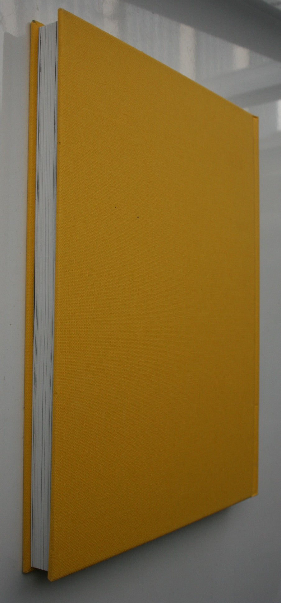 Harry Turbott New Zealand's First Landscape Architect By Garth Falconer. SIGNED