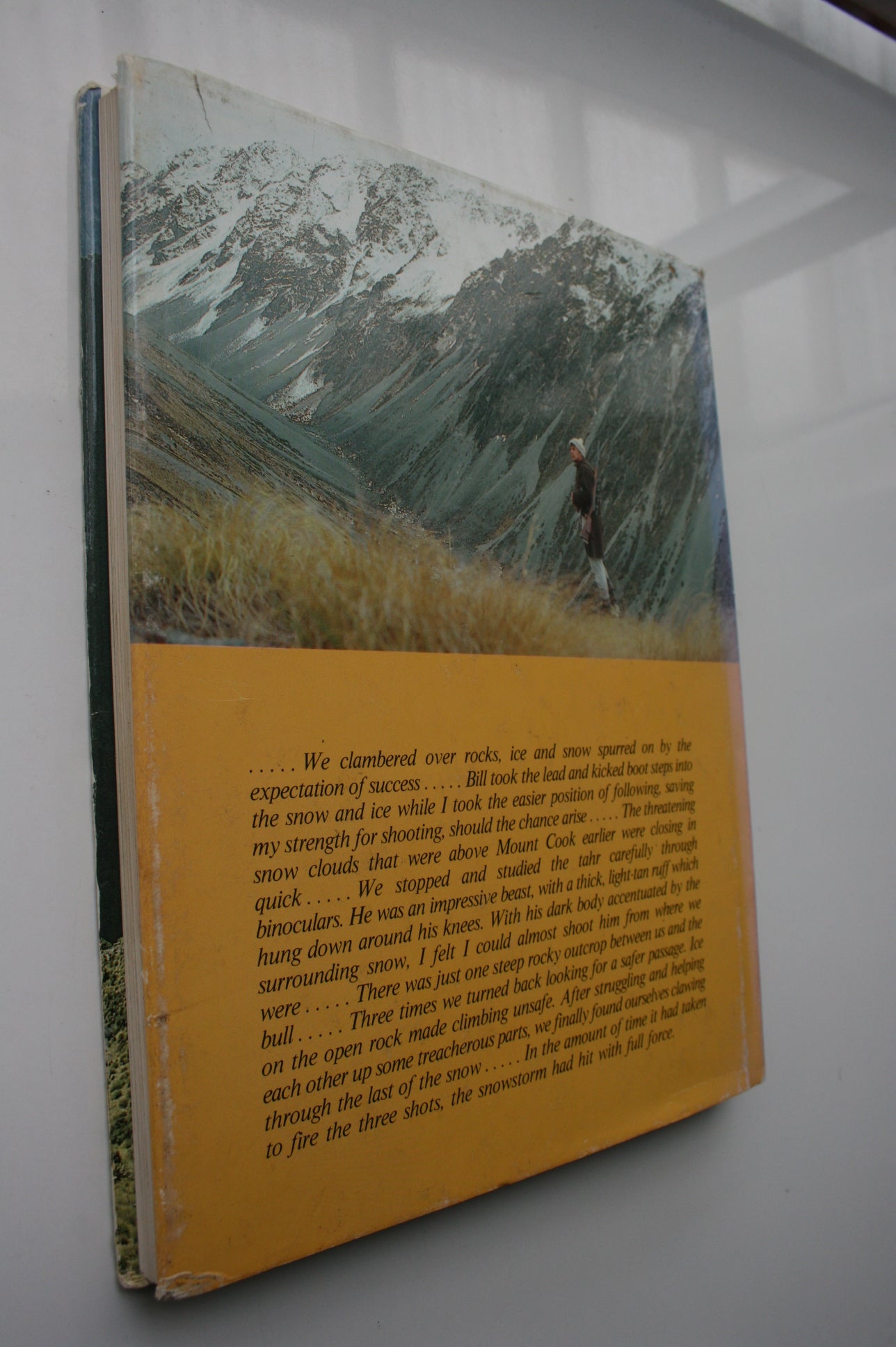 South Pacific Trophy Hunter. FIRST EDITION by Murray Thomas