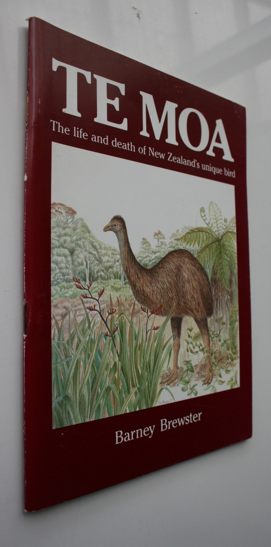 Te Moa: The Life and Death of New Zealand's Unique Bird by Barney Brewster.