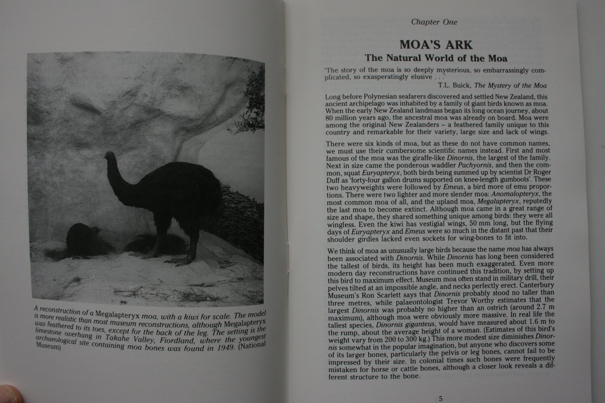 Te Moa: The Life and Death of New Zealand's Unique Bird by Barney Brewster.