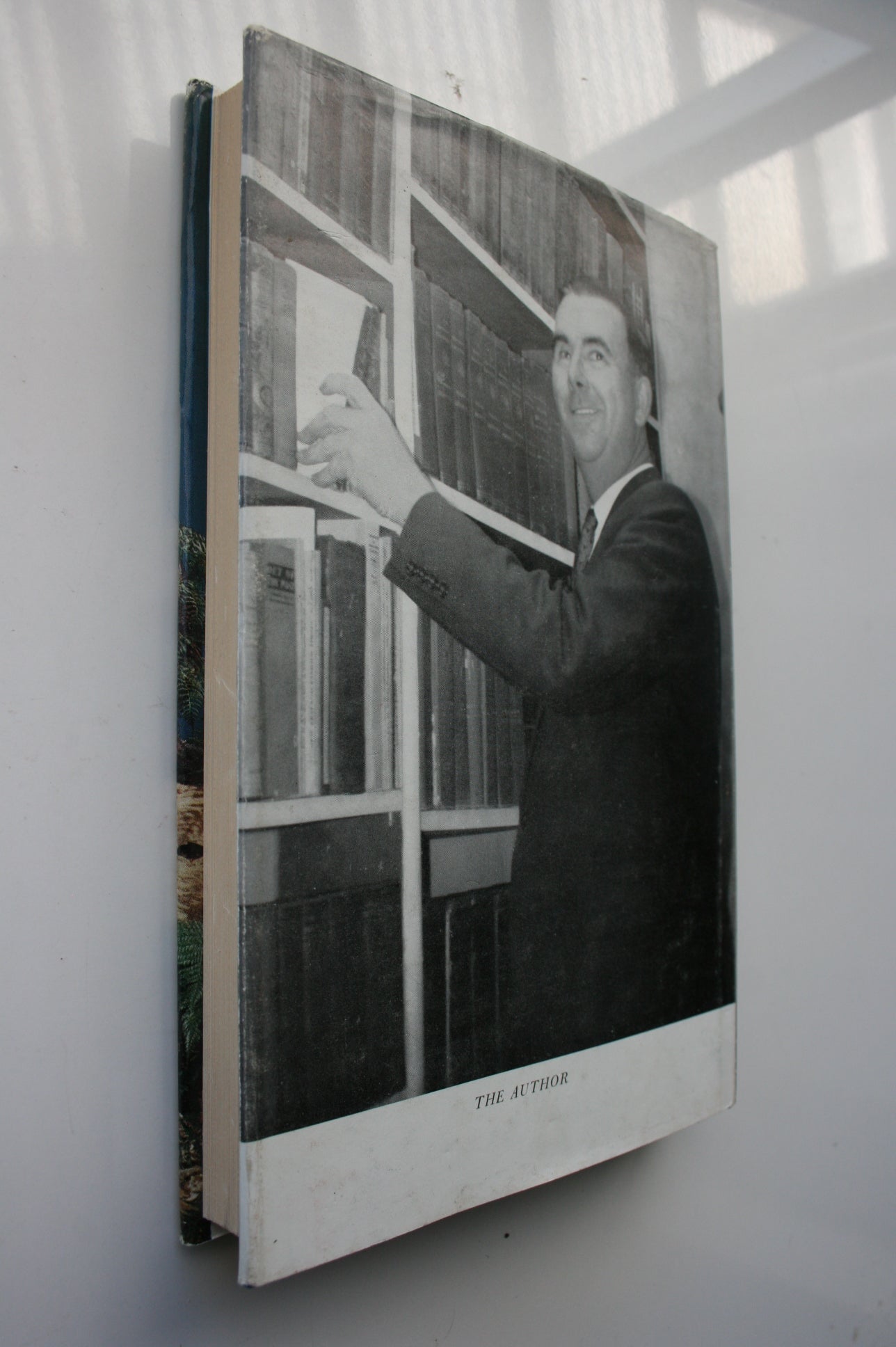 Coasts of Treachery by Eugene Grayland.