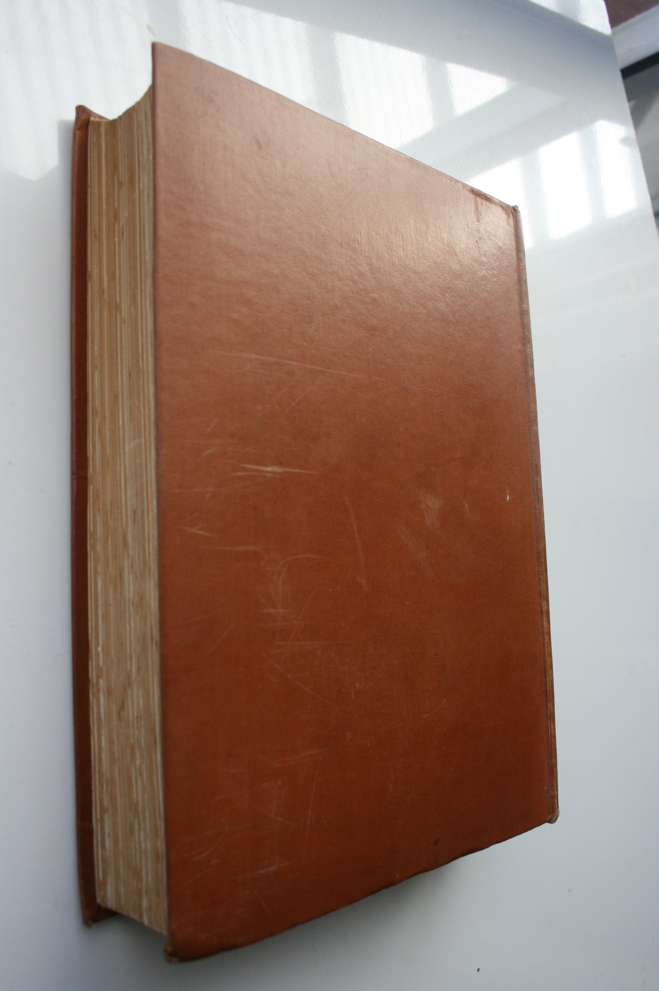 New Zealand : Painted By F & W Wright, described by William Pember Reeves.