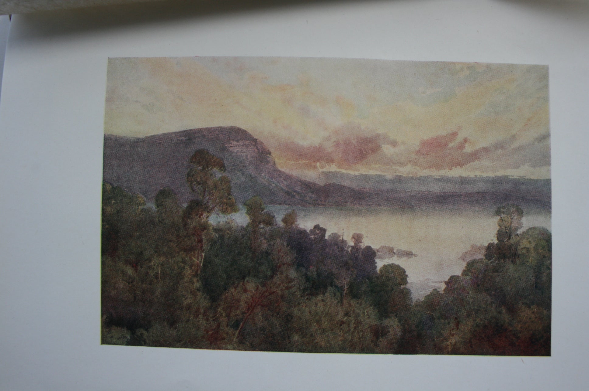 New Zealand : Painted By F & W Wright, described by William Pember Reeves.