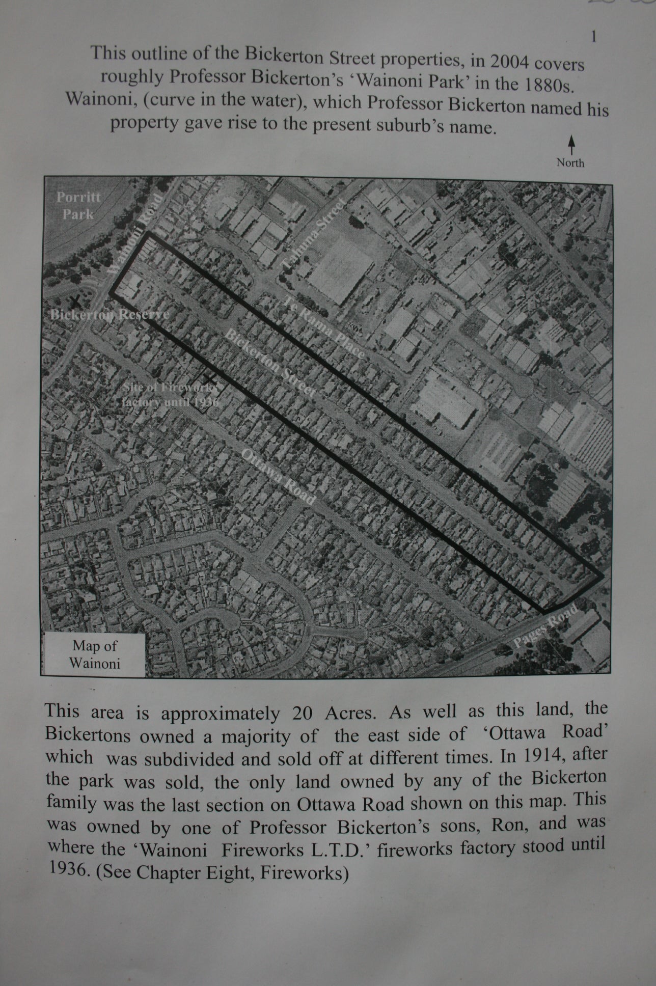 rofessor Bickerton's Wainoni by Timothy David Baker.