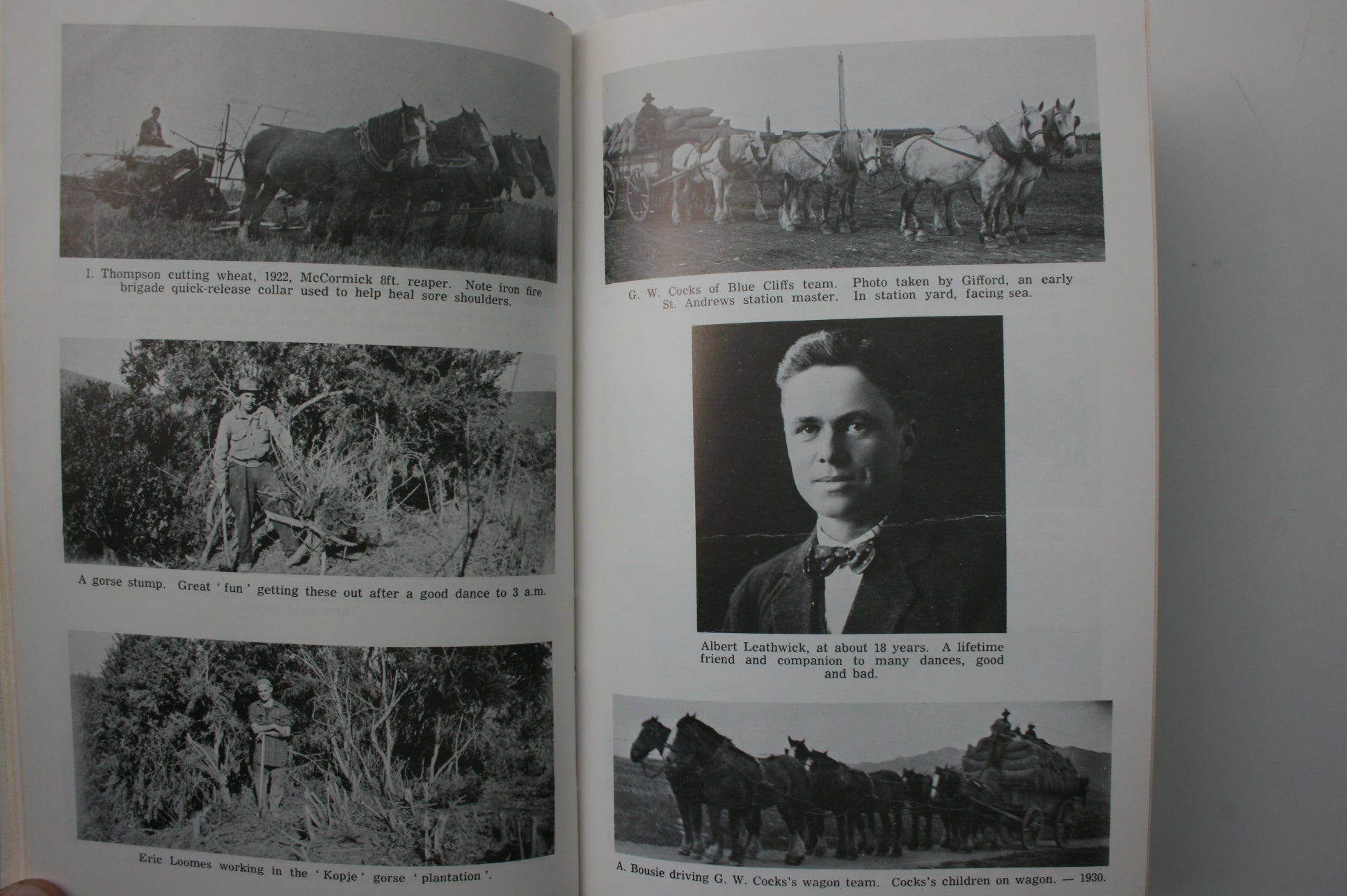 The Lyalldale Waltz: A Light-hearted Look at Rural Life about South Canterbury over the past Seventy Years. SIGNED BY AUTHOR.