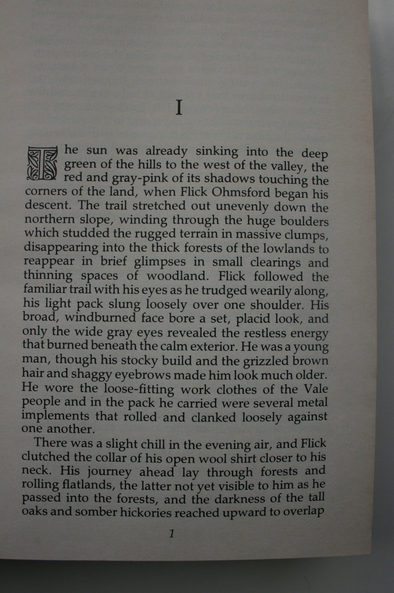 The Sword of Shannara. 1977, First Edition. By Terry Brooks, Illustrated by The Brothers Hildebrandt.