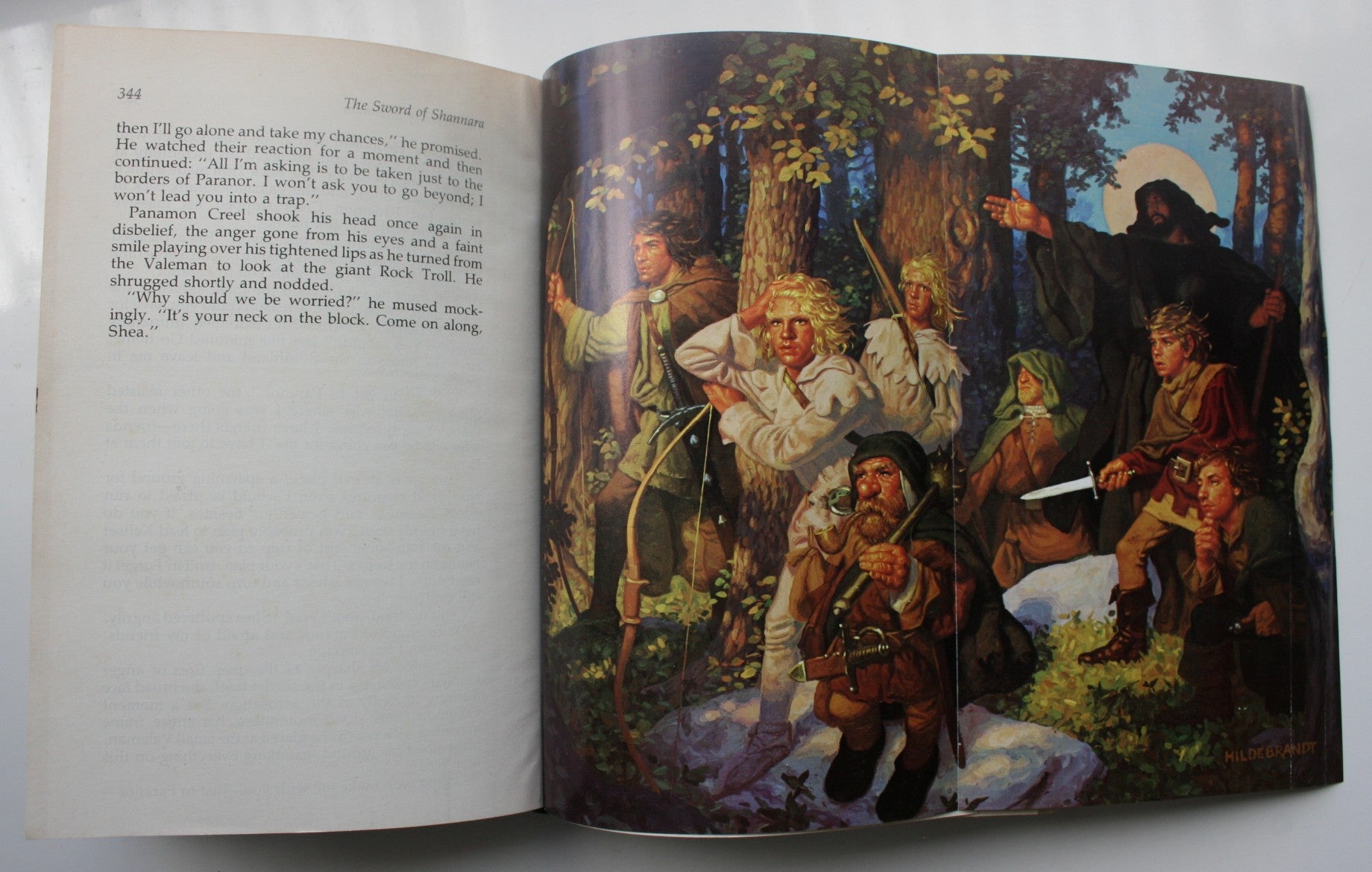 The Sword of Shannara. 1977, First Edition. By Terry Brooks, Illustrated by The Brothers Hildebrandt.