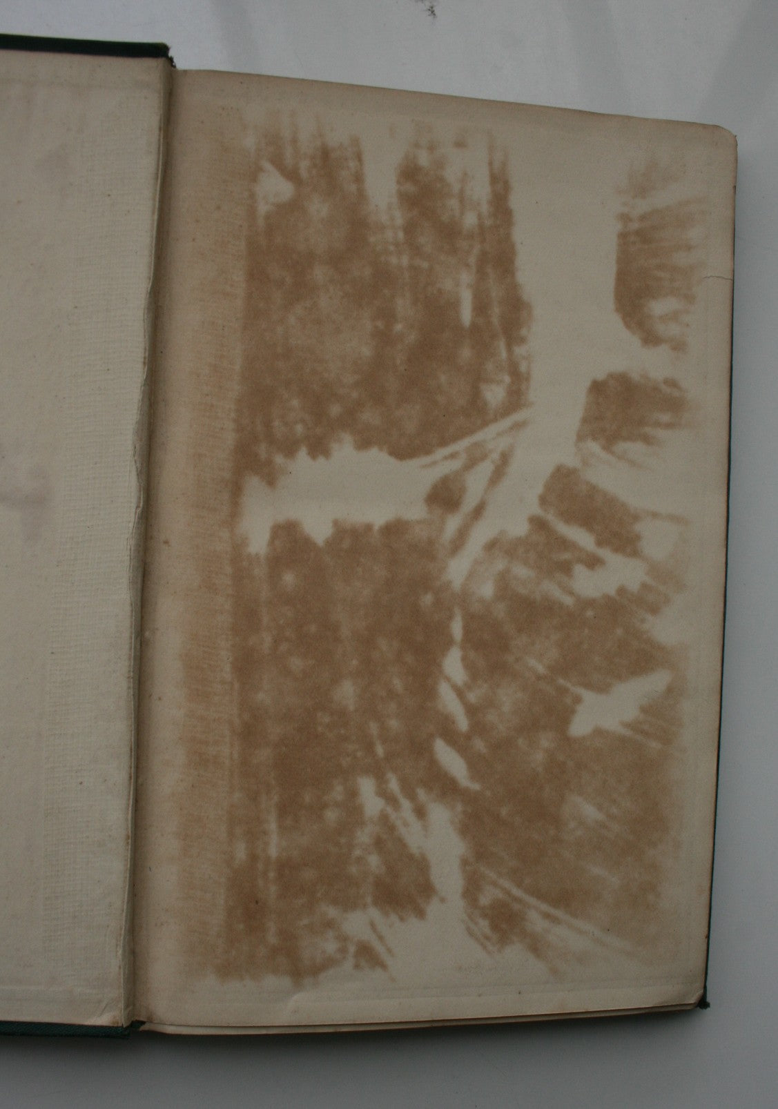 Old England and New Zealand : The Government, Laws, Churches, Public Institutions, and the Resources of New Zealand,