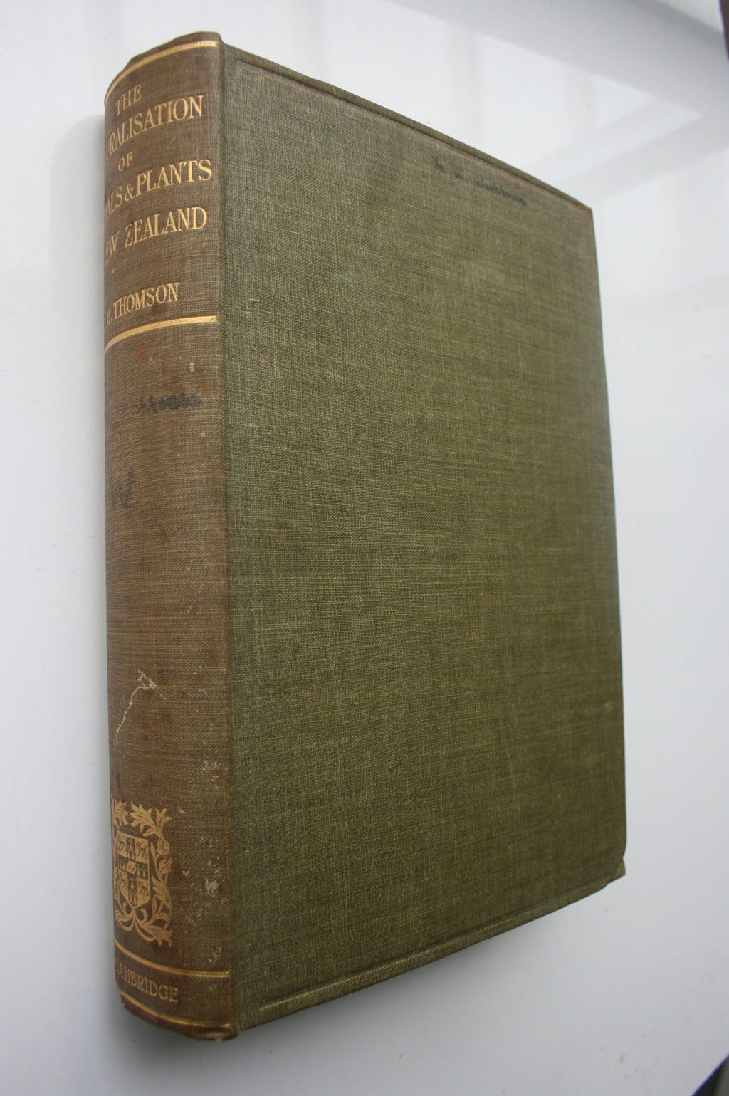 The Naturalisation of Animals & Plants in New Zealand (1922 FIRST EDITION). By G M Thomson.