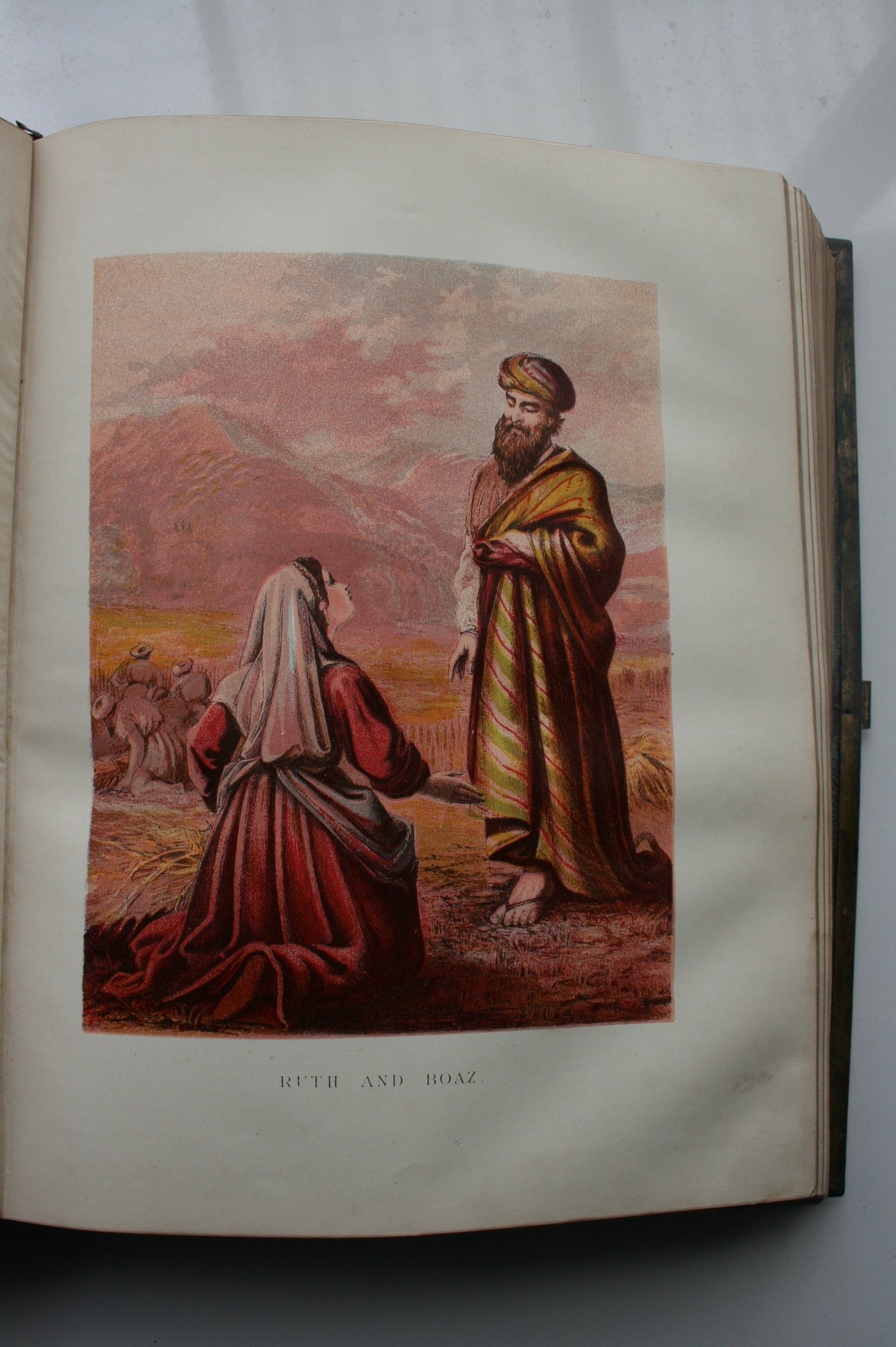 The Holy Bible, Old and New Testaments, With the Marginal Readings, and Original and Selected Parallel References, Printed at Length.