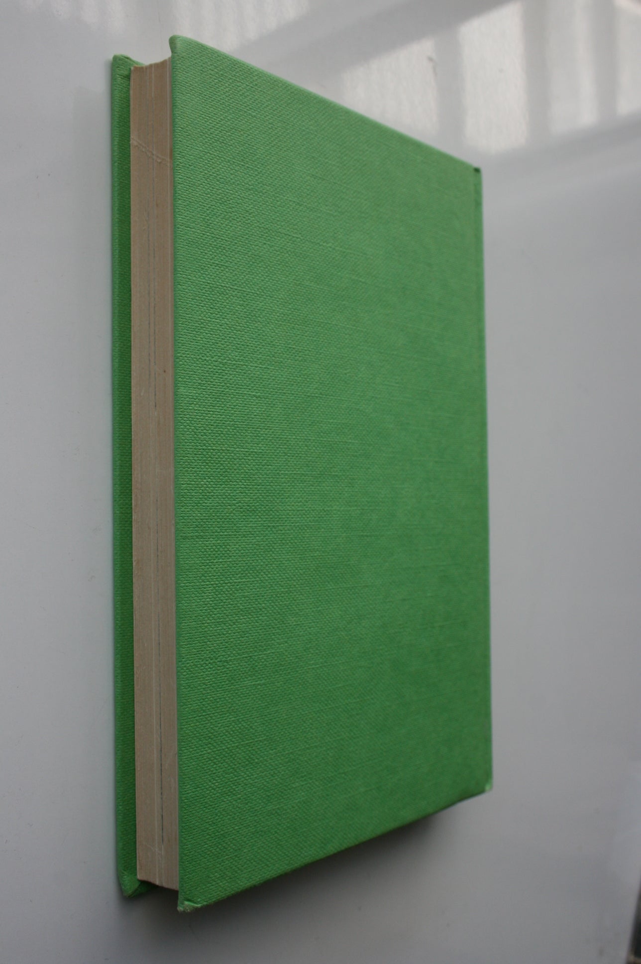 The Little World of Stewart Island. First Edition