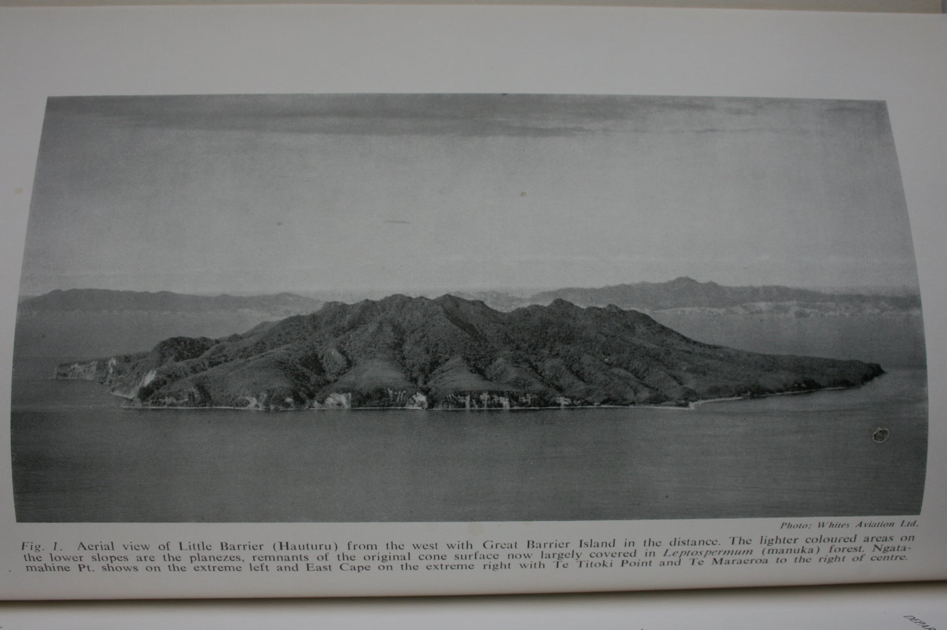 Little Barrier Island (Hauturu) New Zealand Department of Scientific and Industrial Research Bulletin 137. W N Hamilton