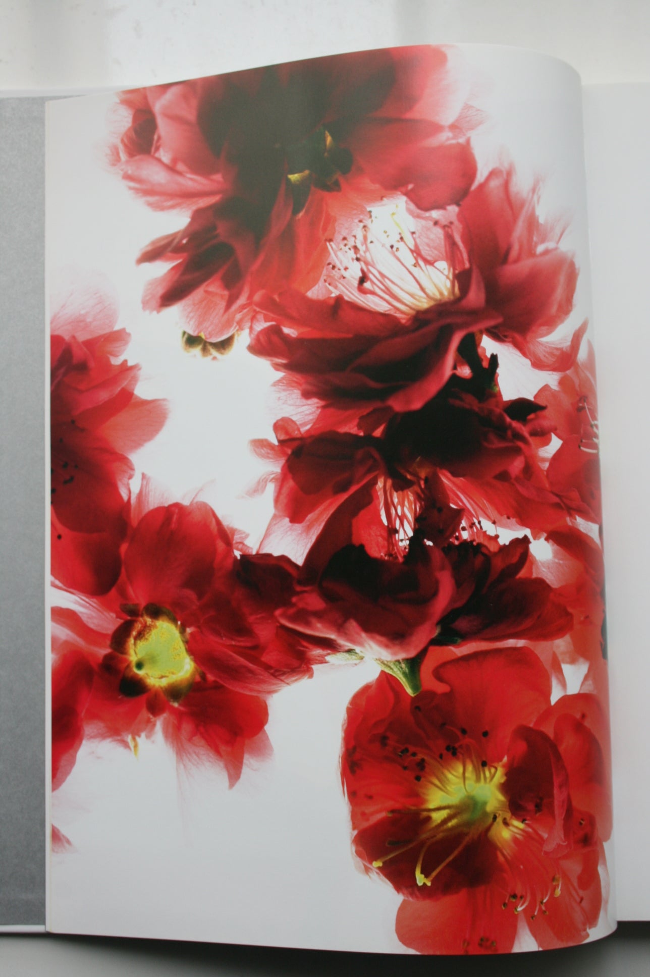 Floranova By Warwick Orme. 2004, first edition.