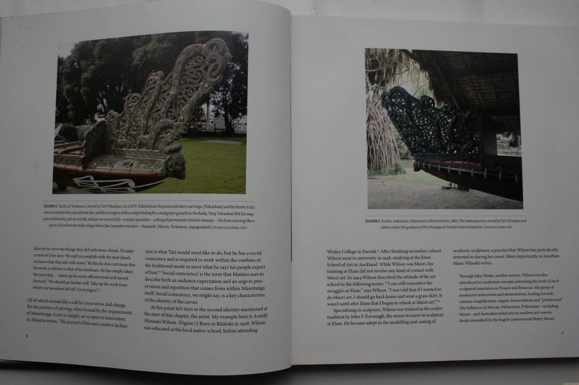 The Carver and the Artist Maori Art in the Twentieth Century By Damian Skinner.