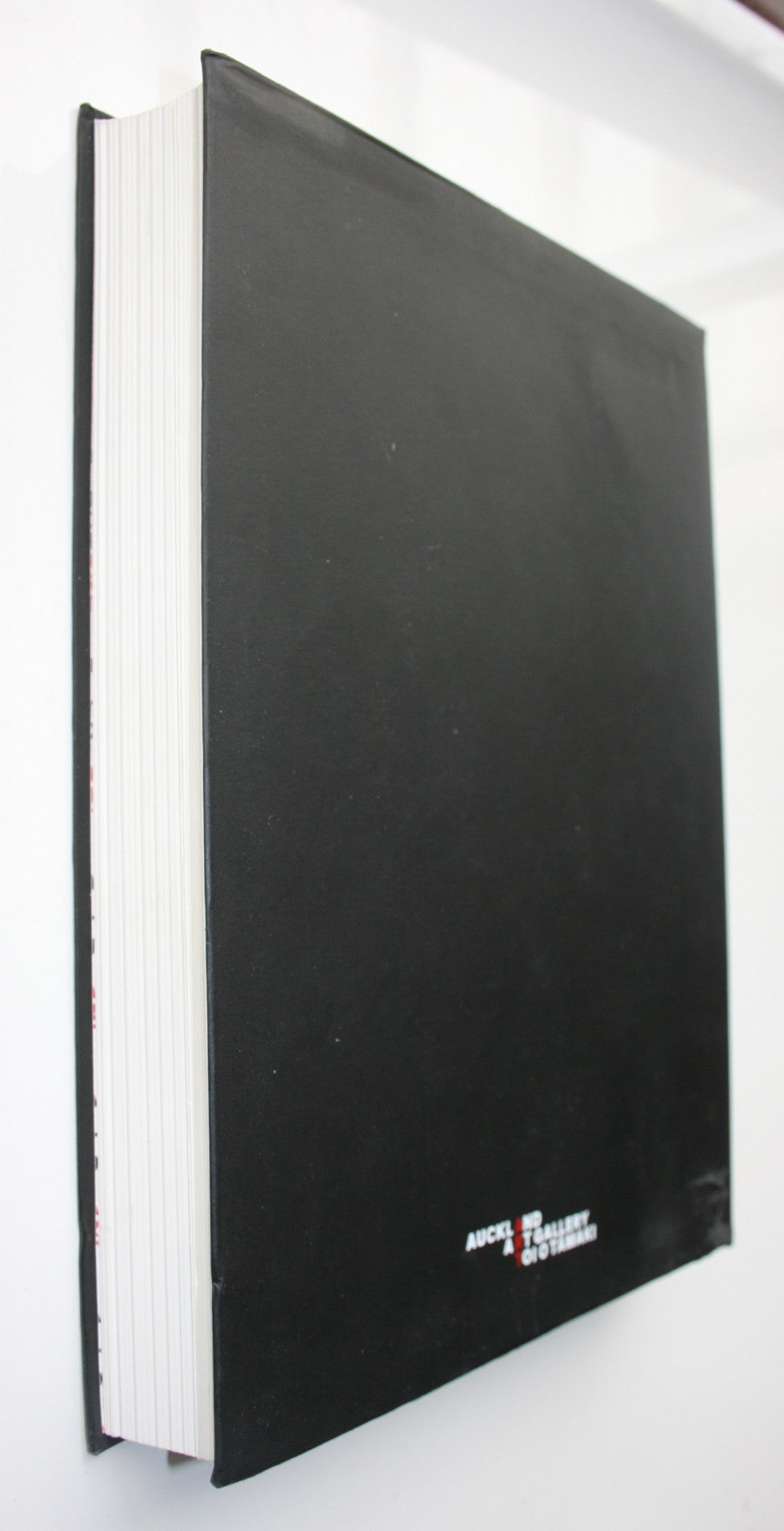 Art Toi: New Zealand Art at Auckland Art Gallery Toi O Tamaki by Ron Brownson.