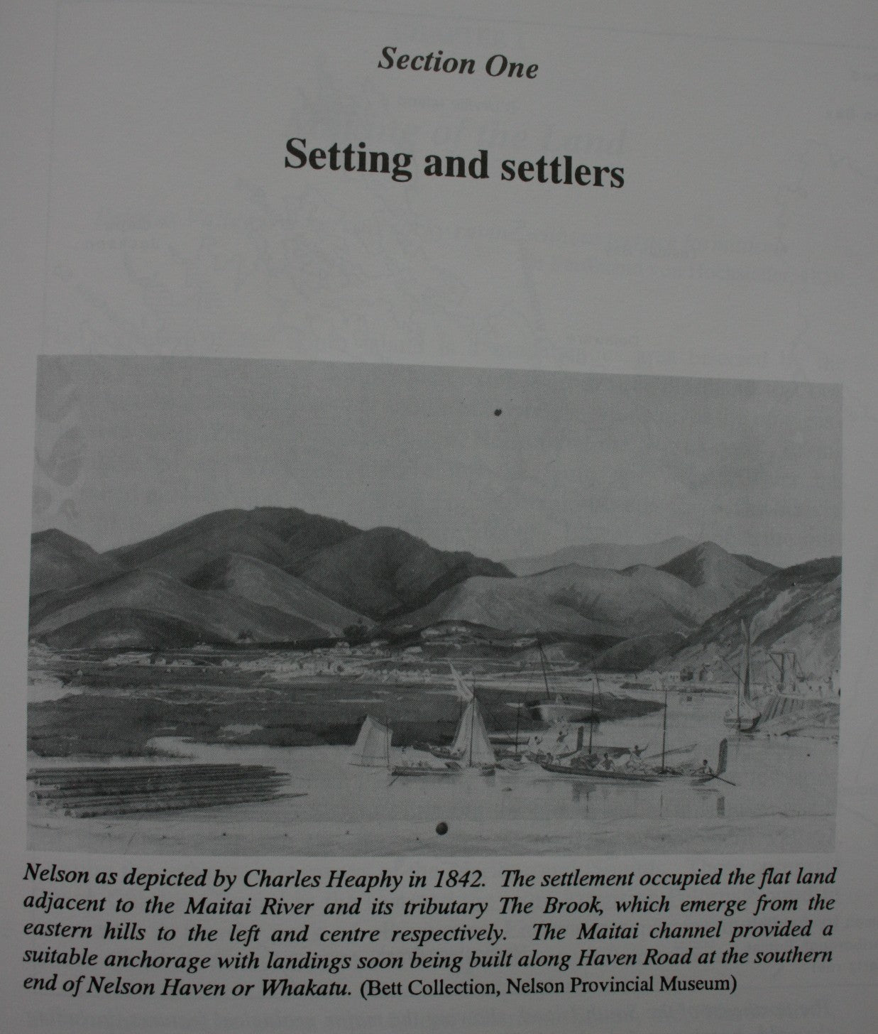 Gold in a Tin Dish: The Search for Gold in Marlborough and Eastern Nelson: Volume One. The History of the Wakamarina Goldfield by Mike Johnston.