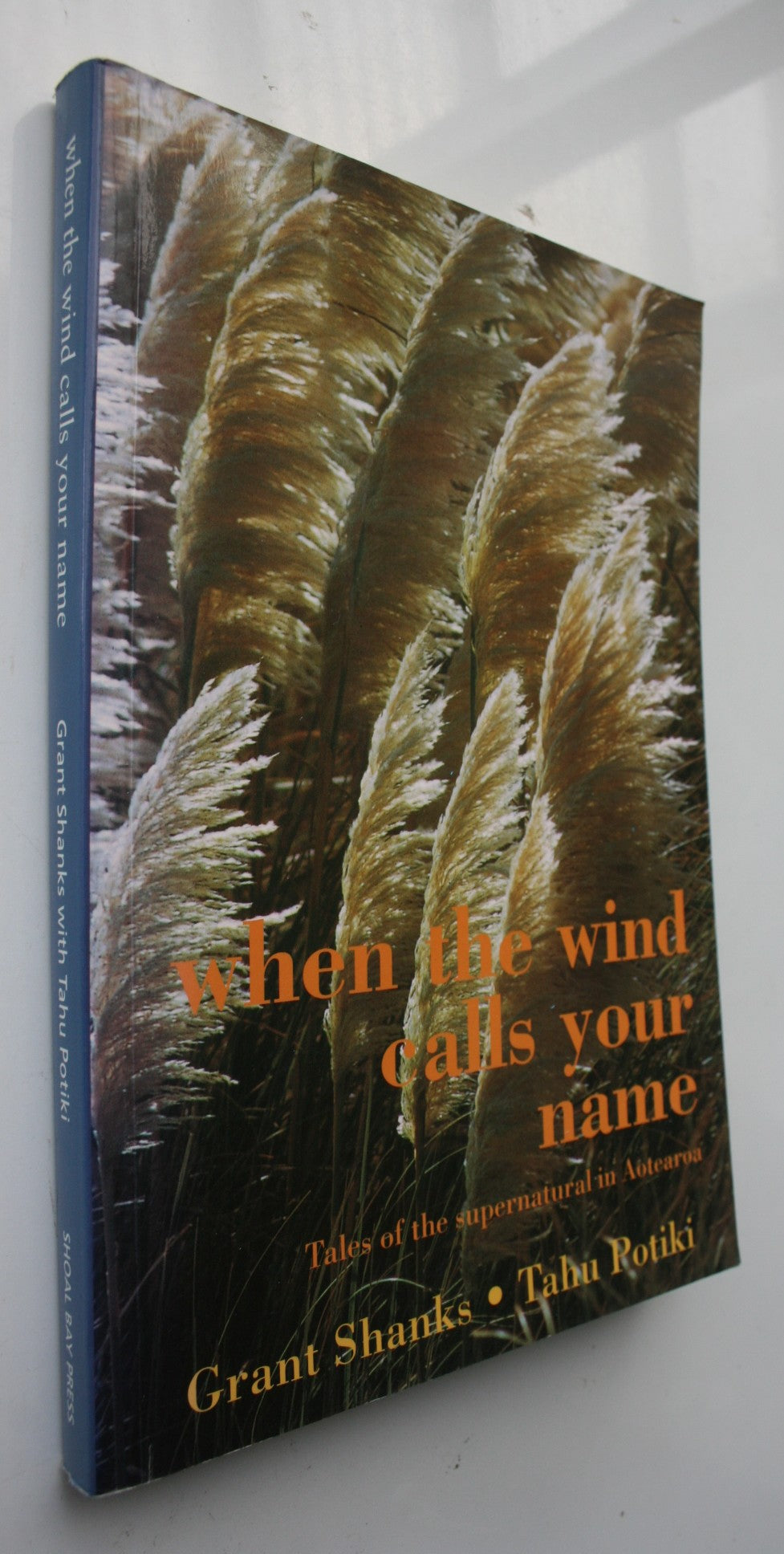 When the Wind Calls Your Name - Tales of the supernatural in Aotearoa by Grant Shanks & Tahu Potiki.
